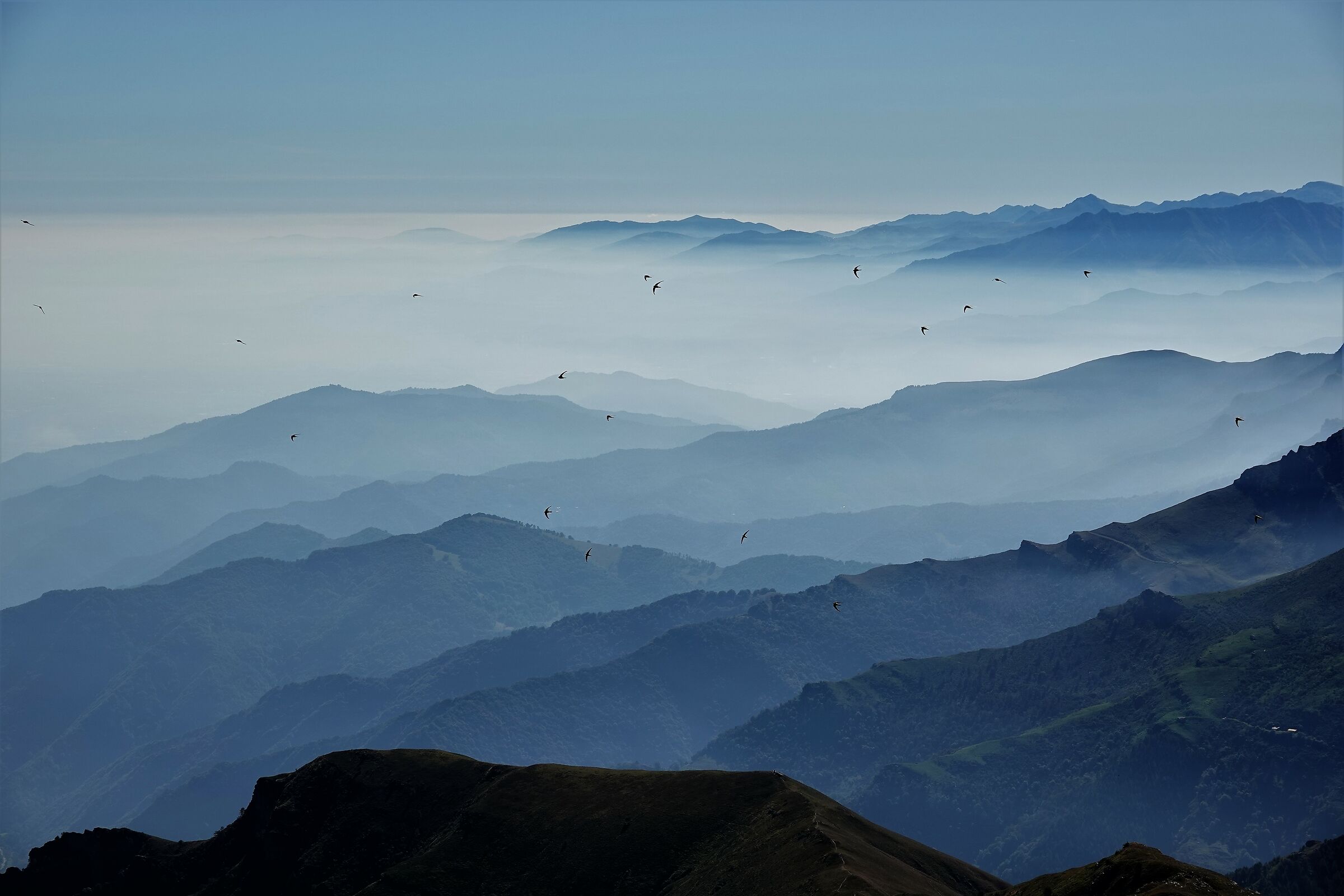 ..prospettive naturali....