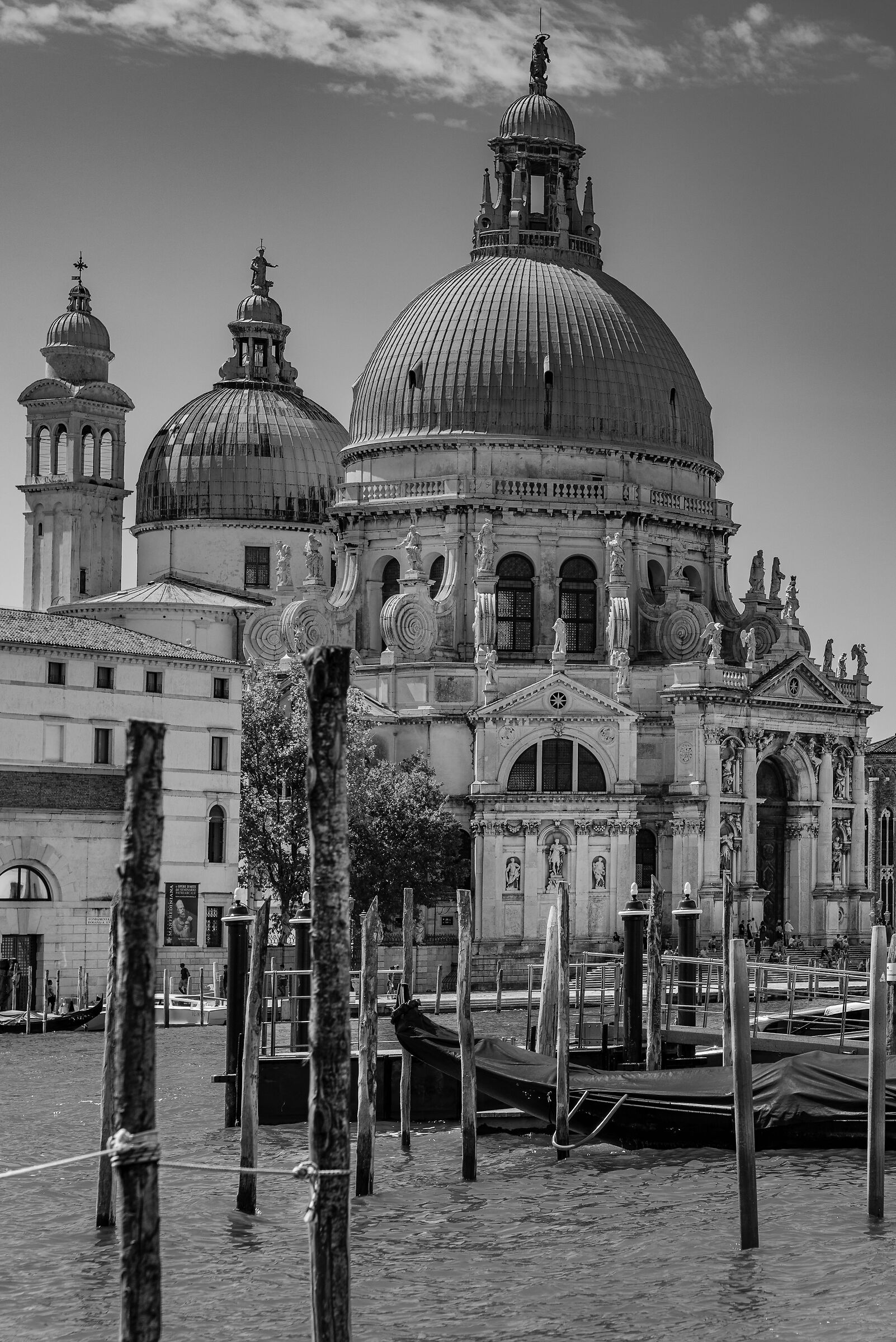 Madonna della Salute B/N