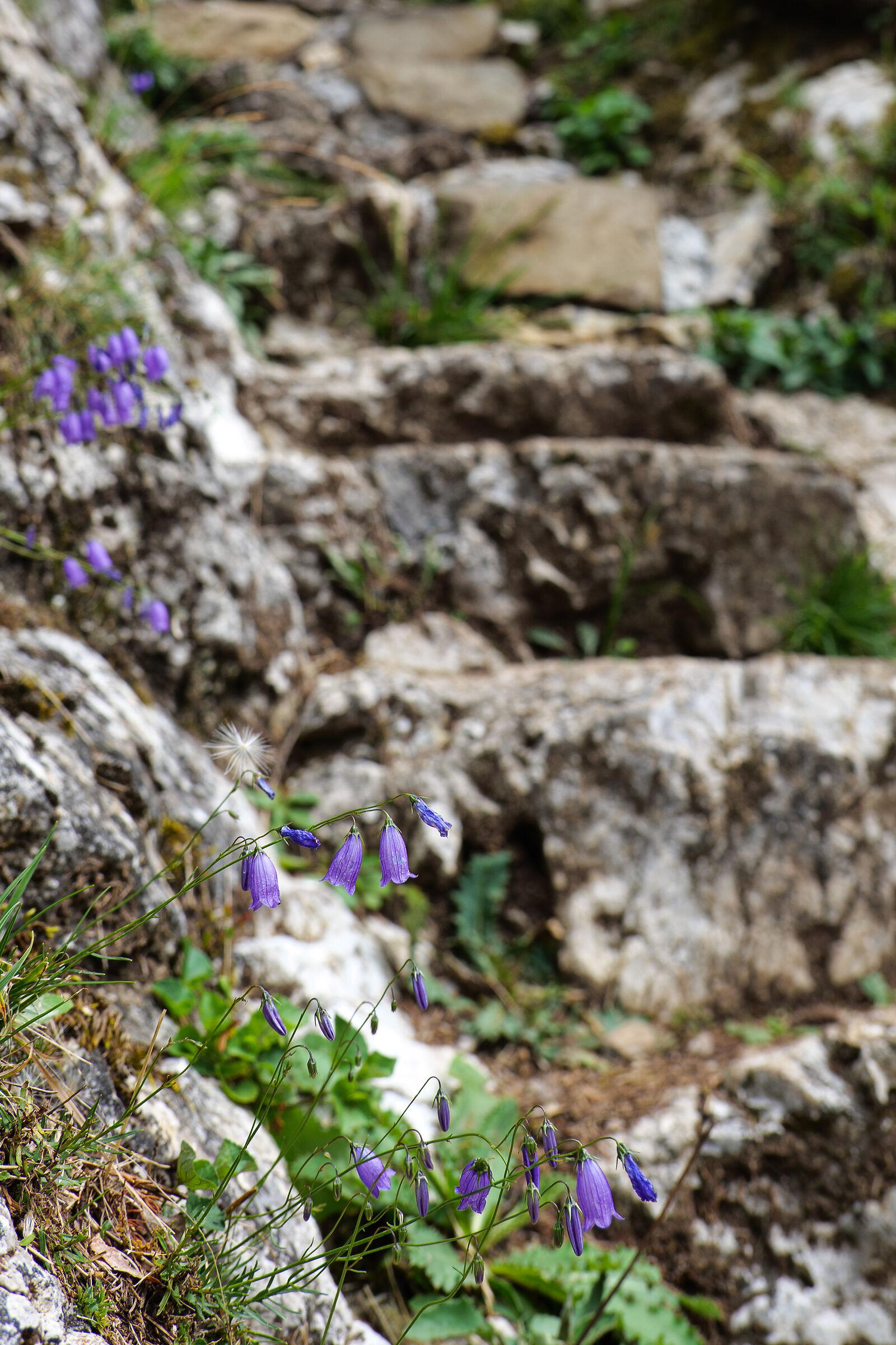 Staircase at the Belvedere