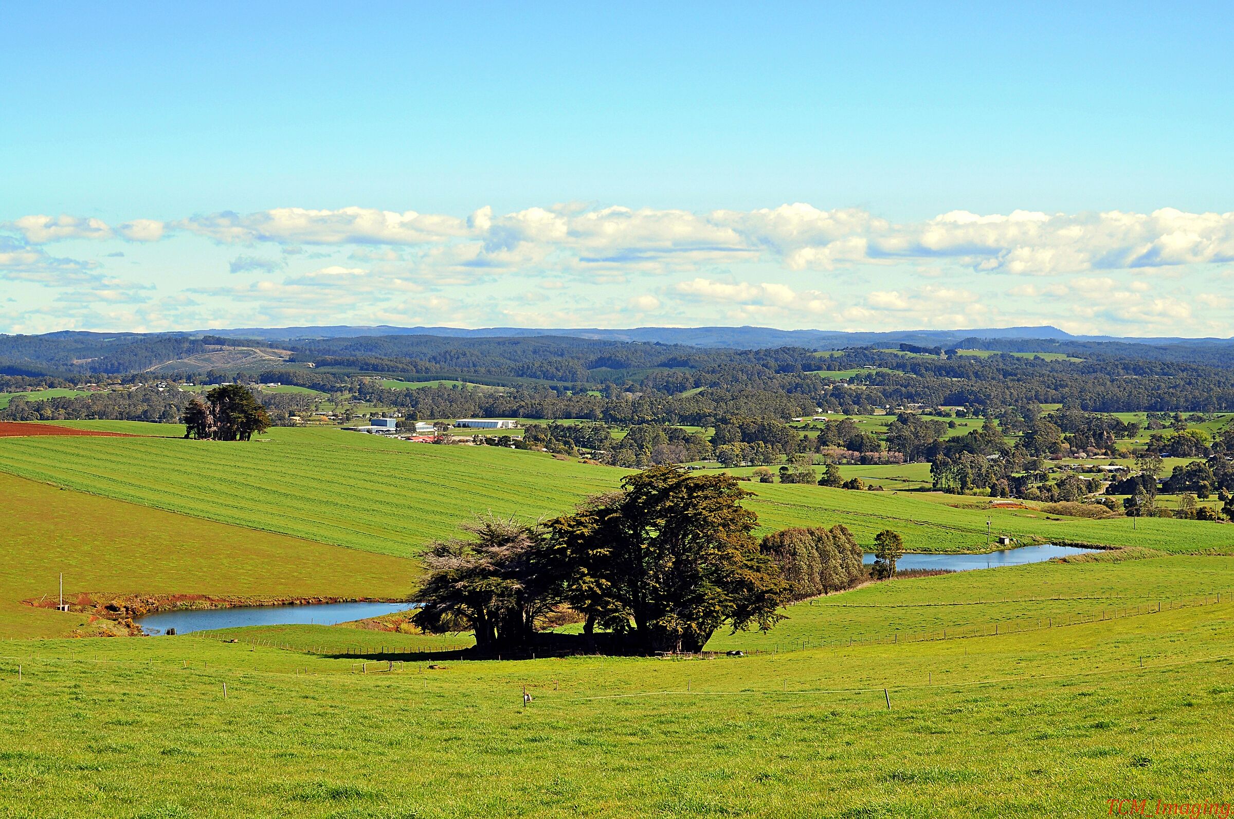 A ovest di Wynyard, NW Tasmania.