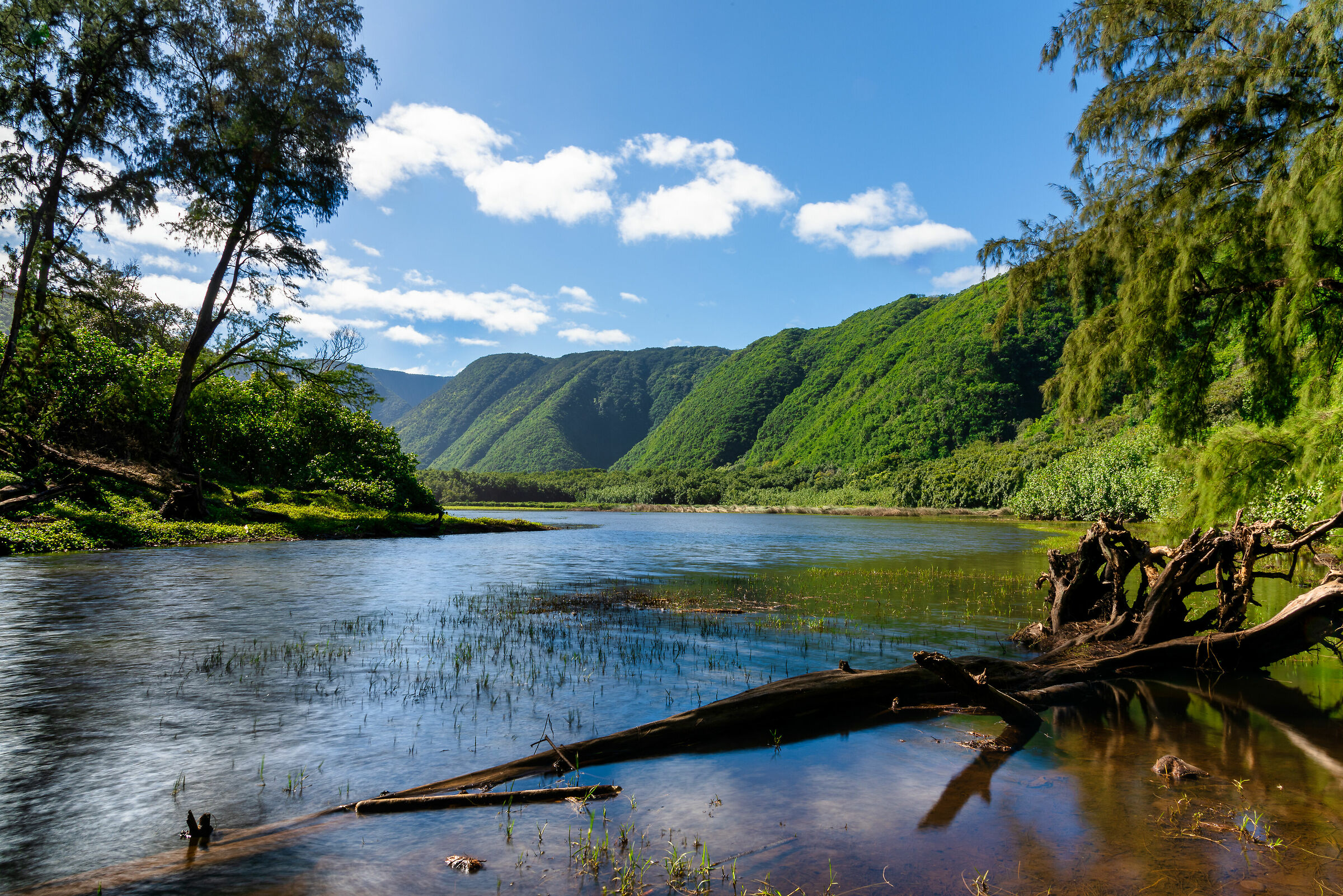 Pololu Valley, California