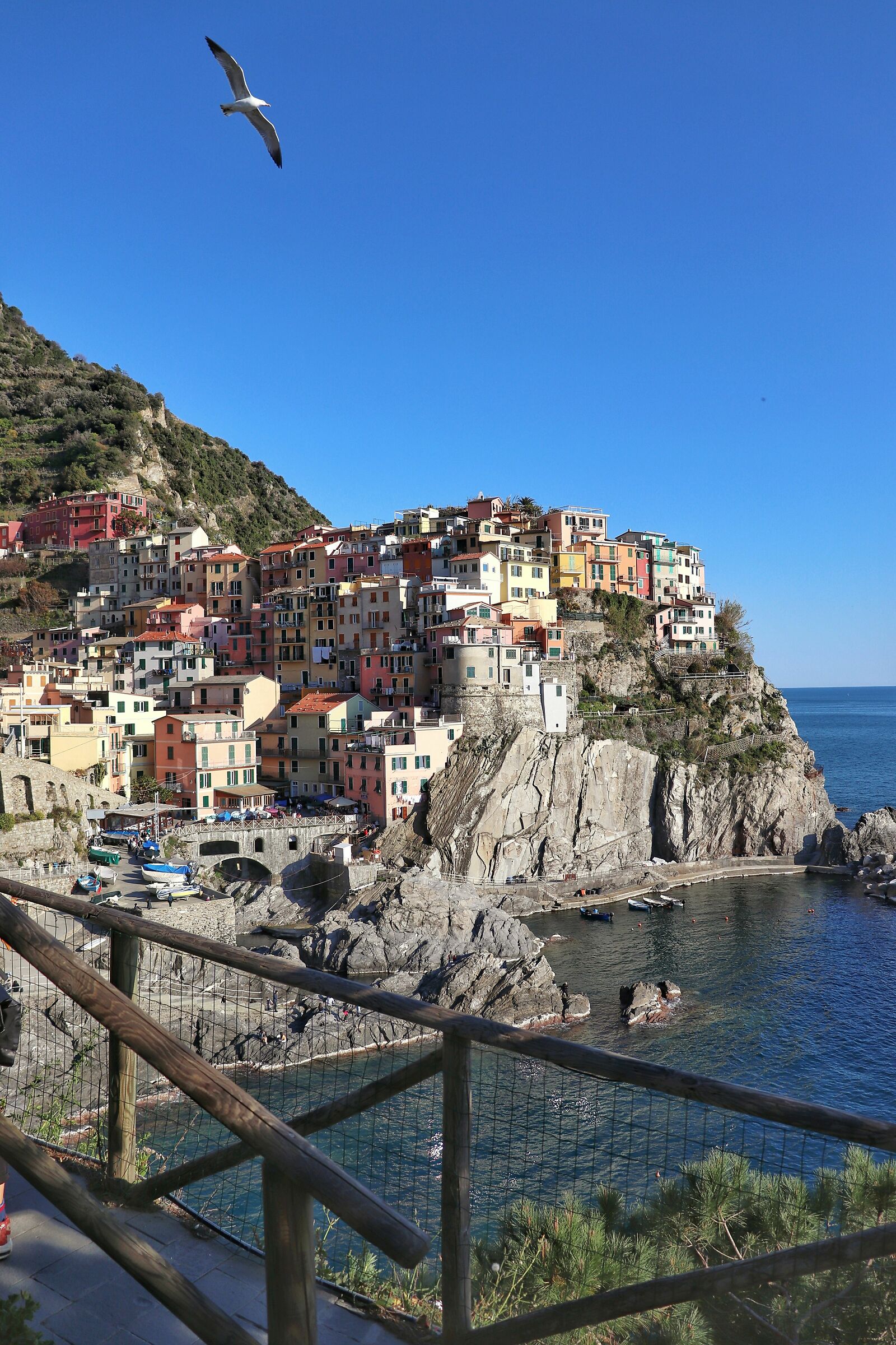 Blu mare di Manarola