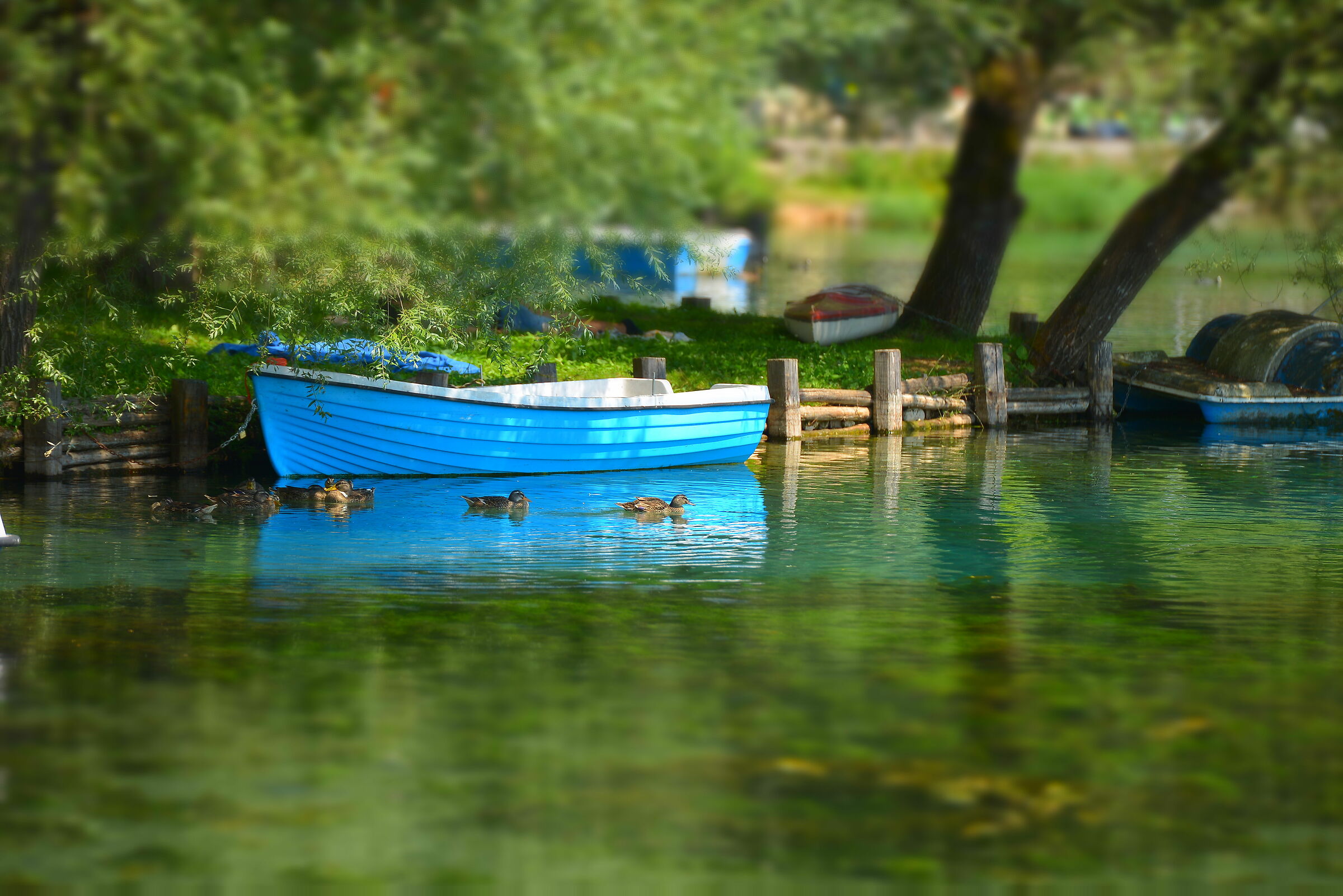 Lake Postafibreno - Ciociaria