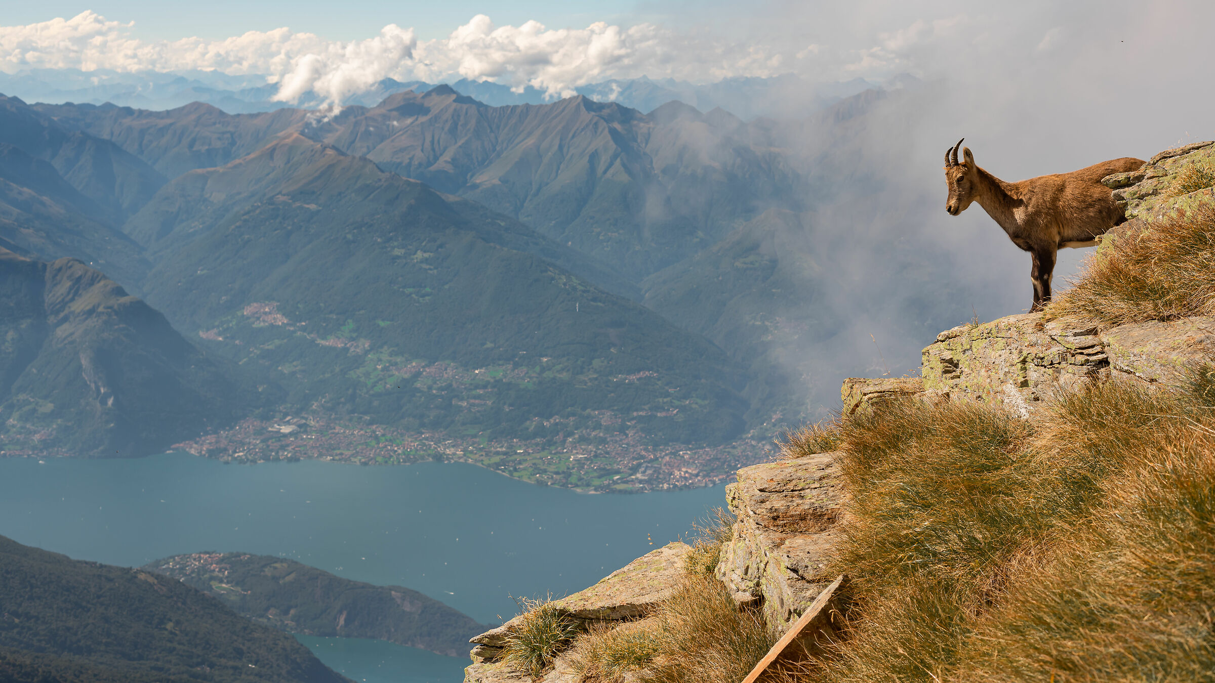 Il Guardiano del lago