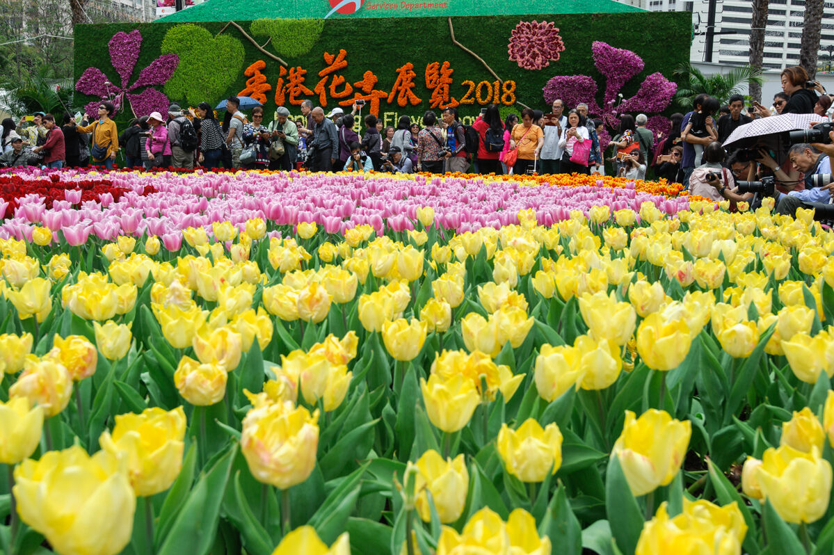 Flower Show HK 2018