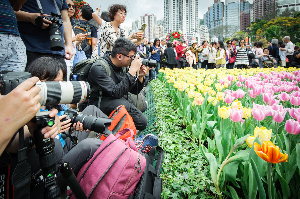 Friends Asian Photographers