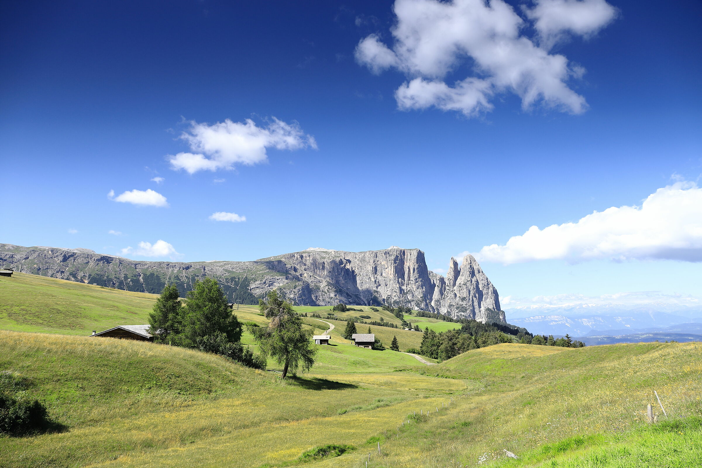 Alpe di Siusi
