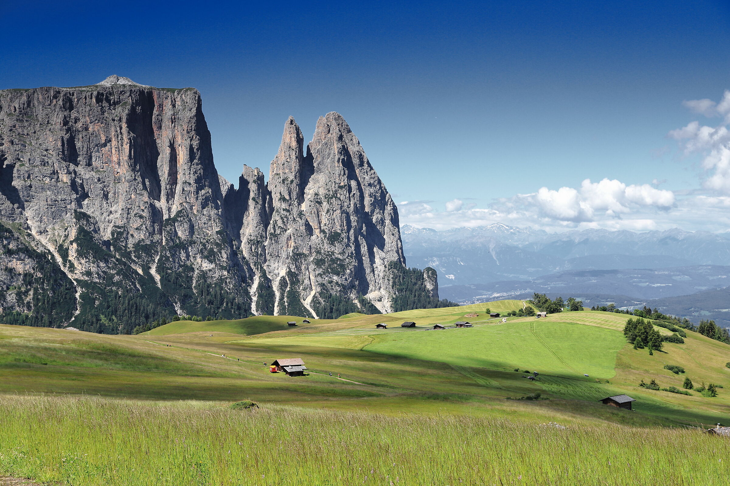 Alpe di Siusi