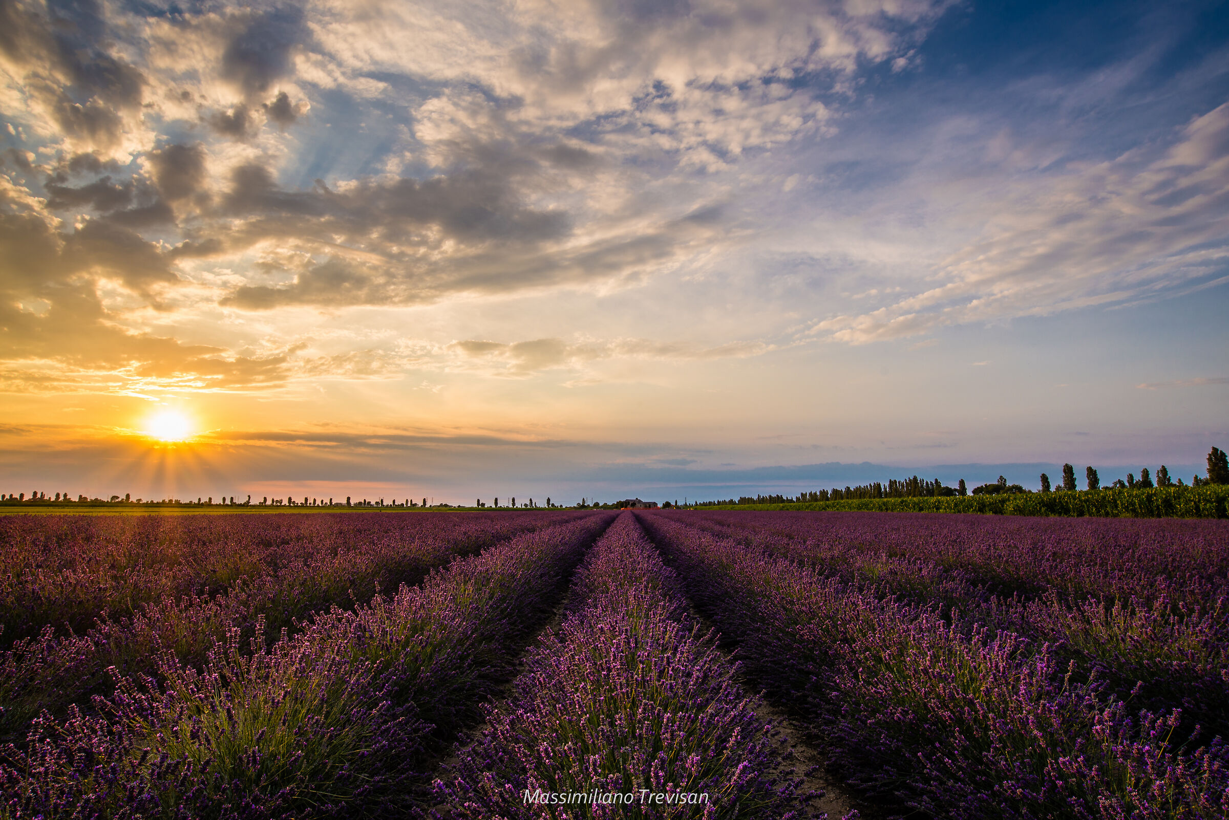 Tramonto sul campo di lavanda
