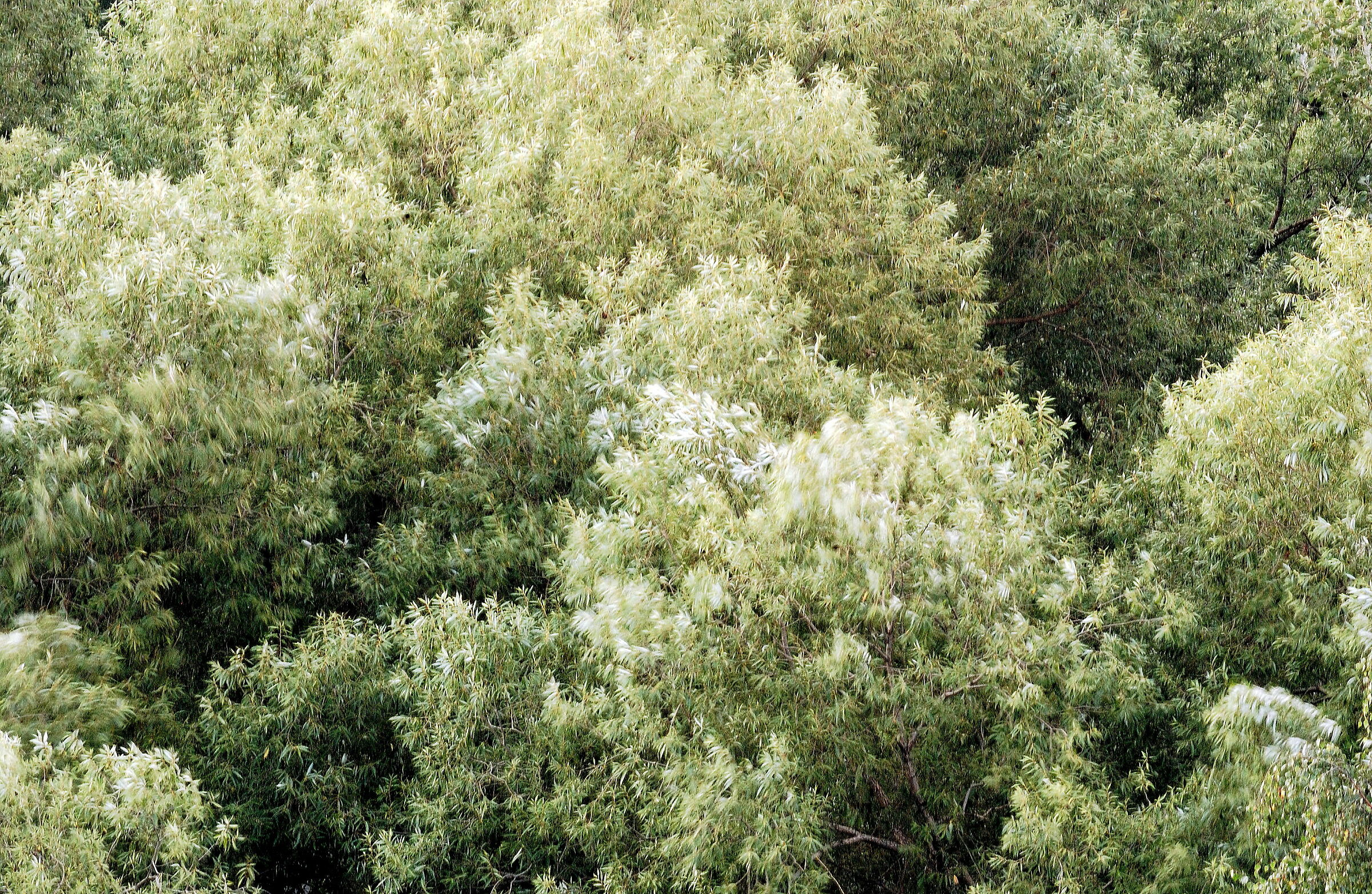 Il cambio di stagione...