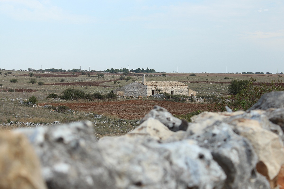 Casolare rurale della Murgia altamurana