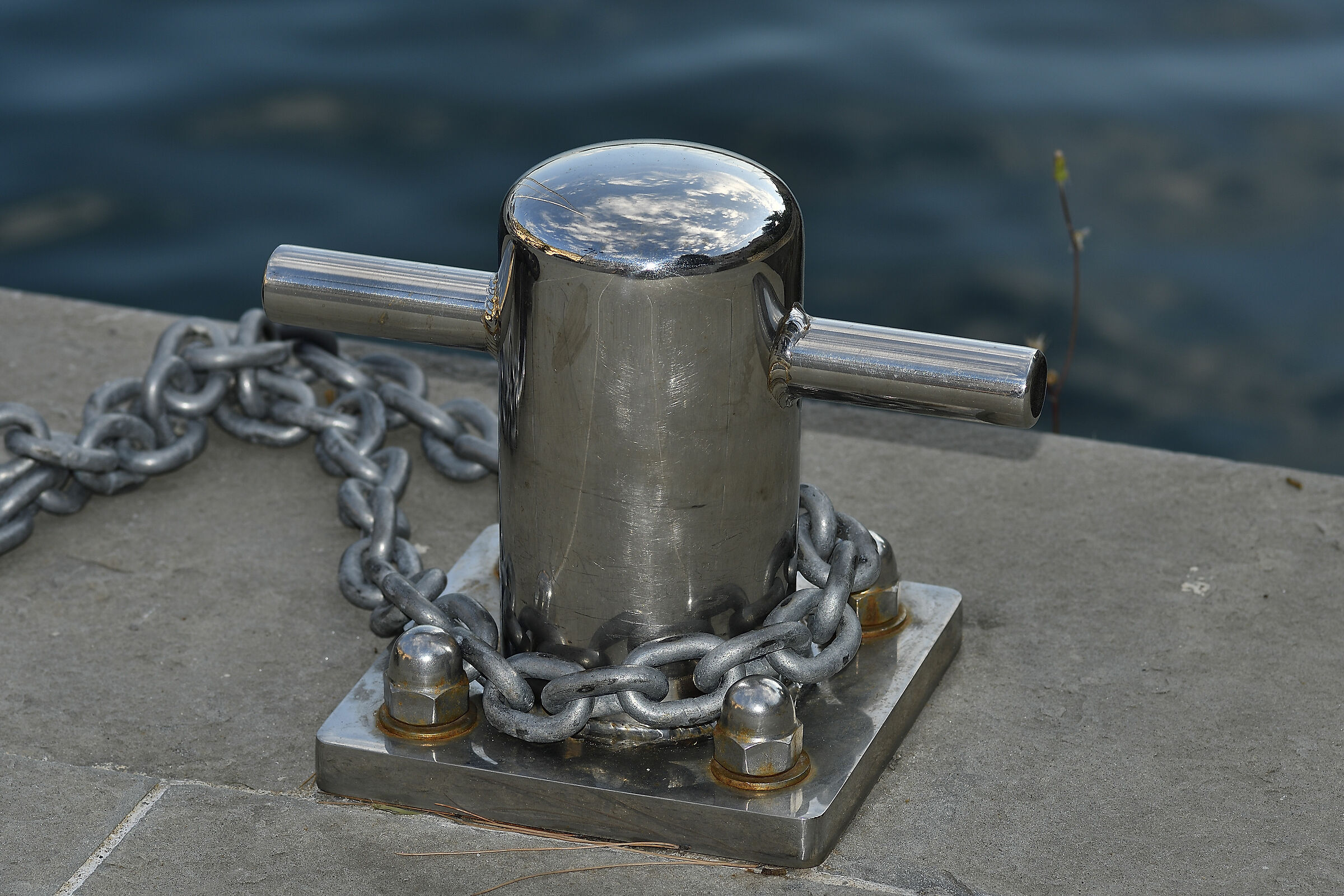 Bitta di nuova generazione...