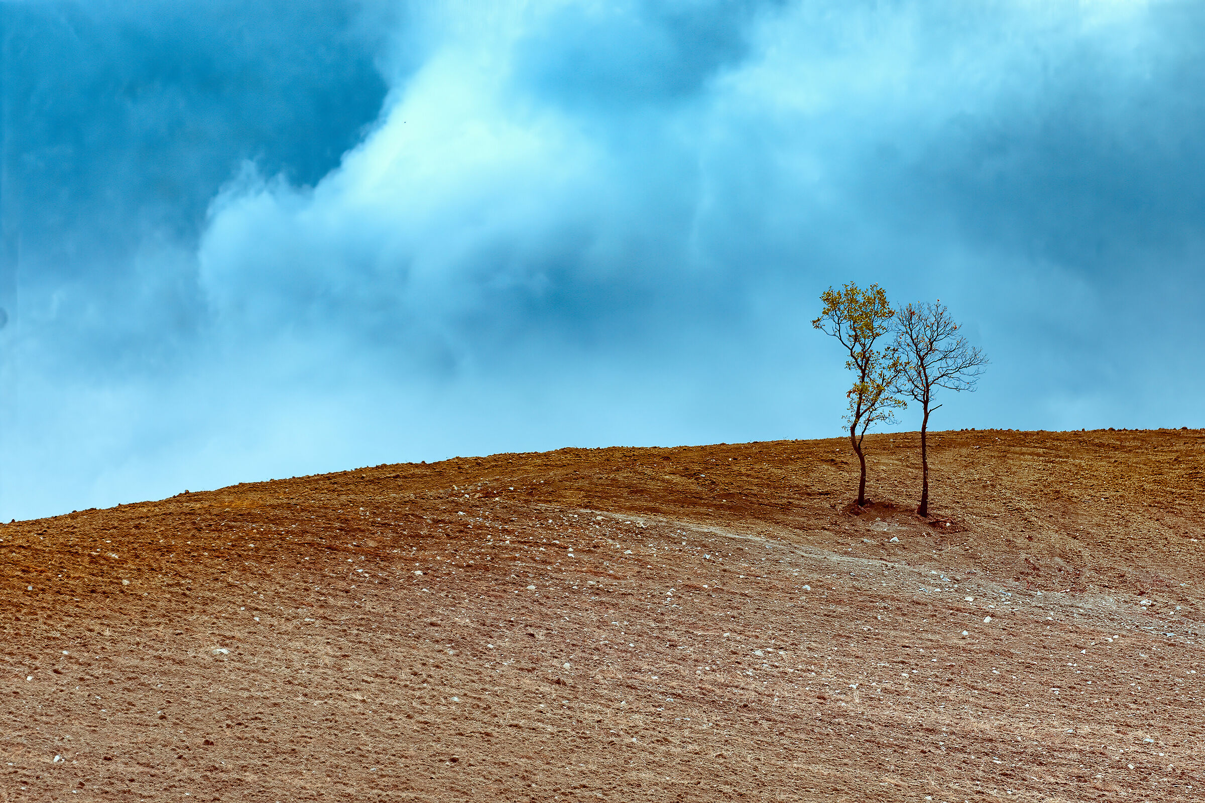 lande desolate dell'entroterra toscano