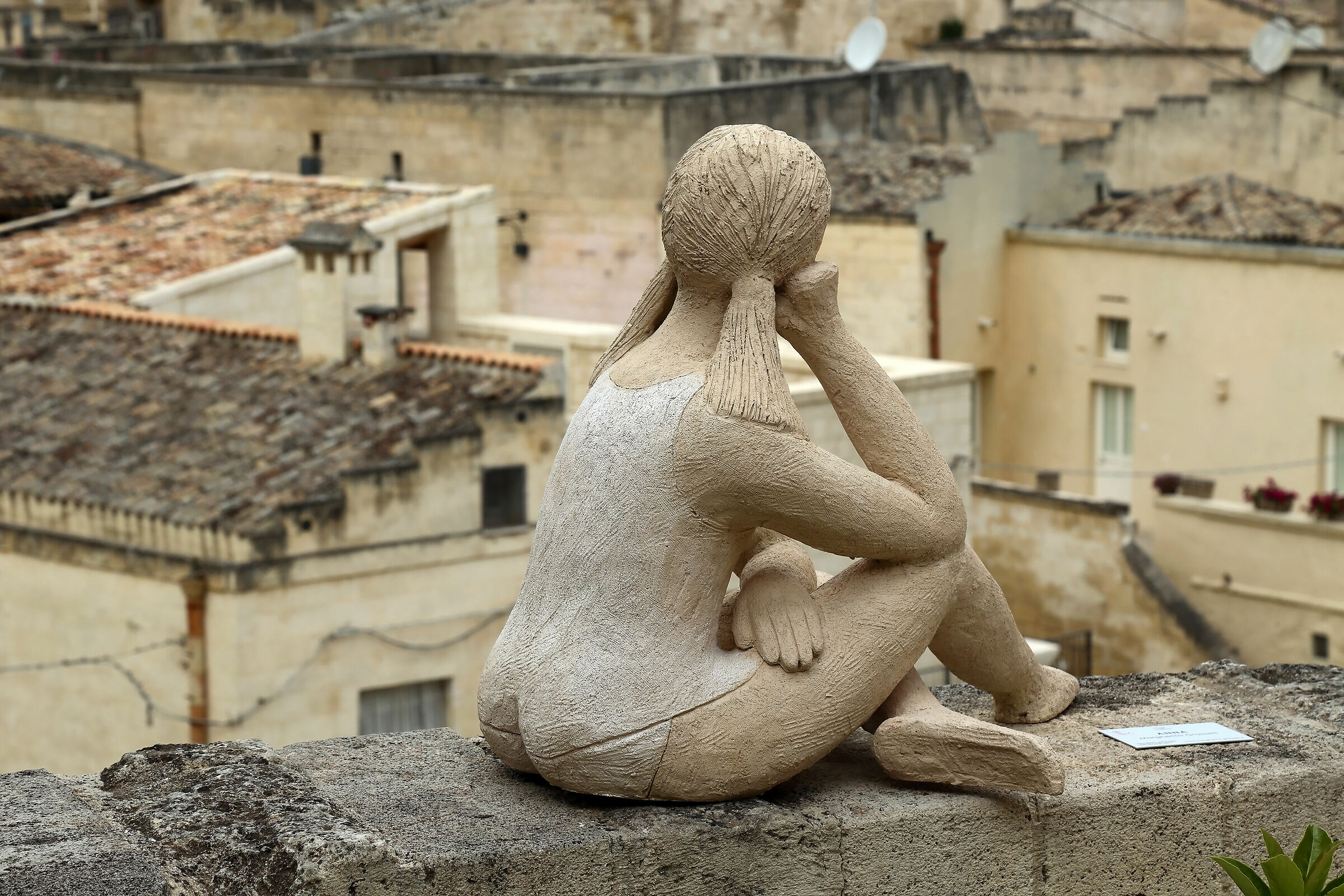 Anna pensia in admiration of the Barisano Sasso