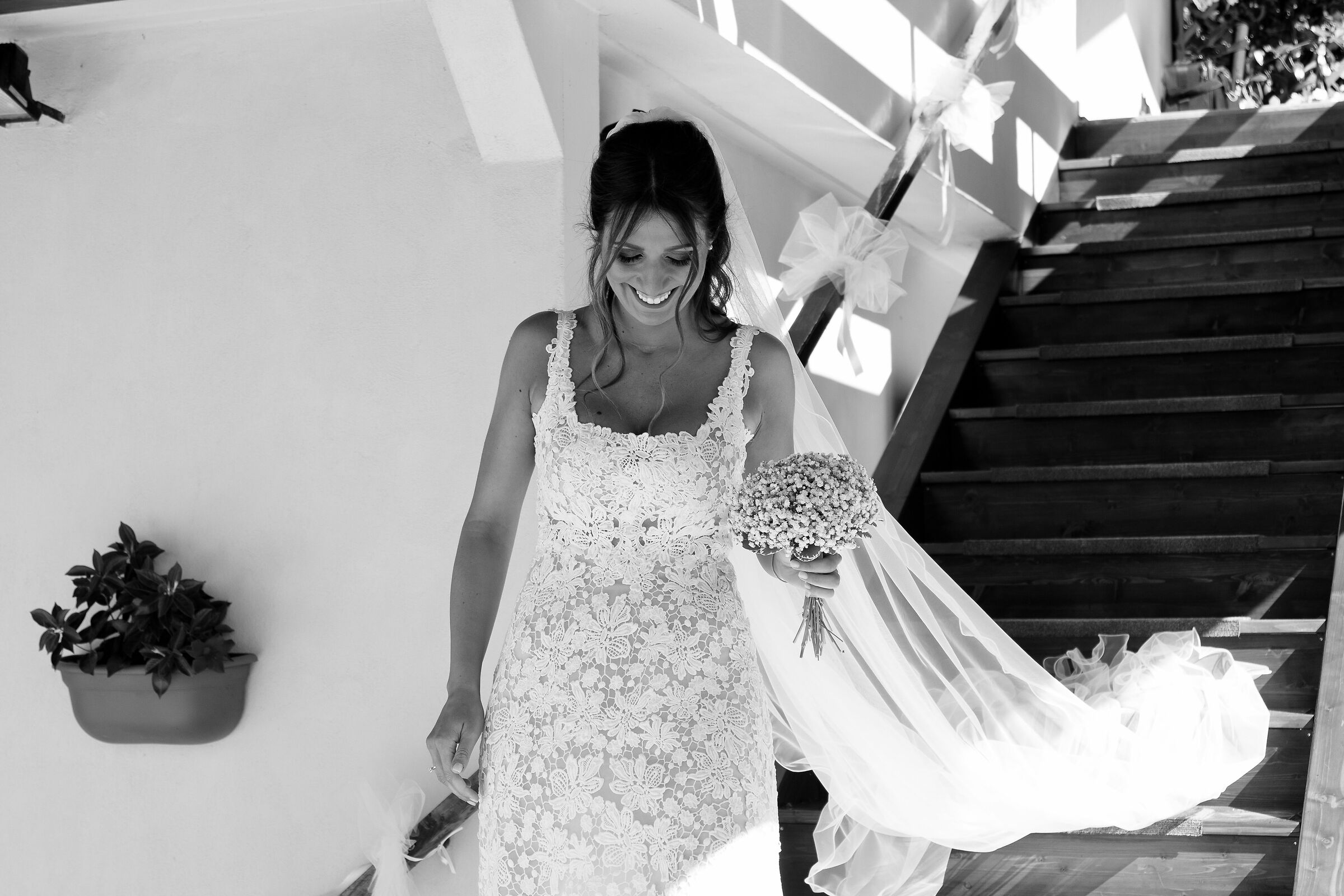 Simona, New10
