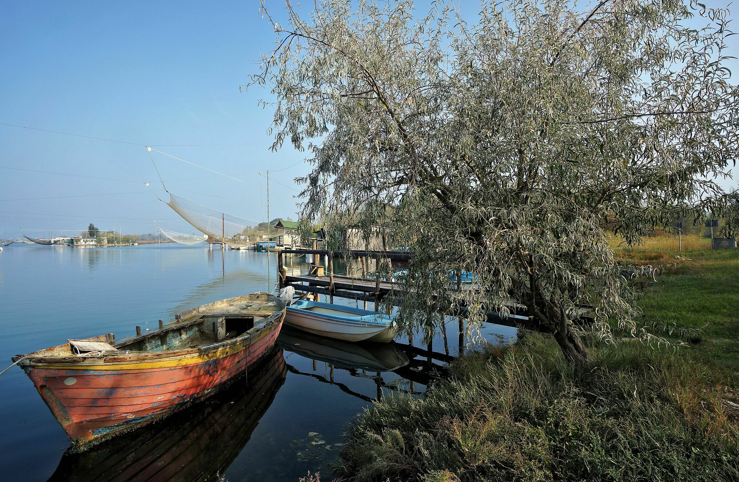 The tree and the valley.
