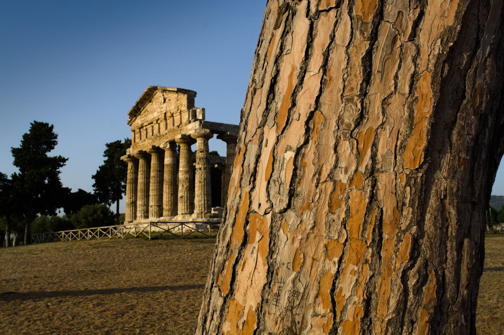 Paestum