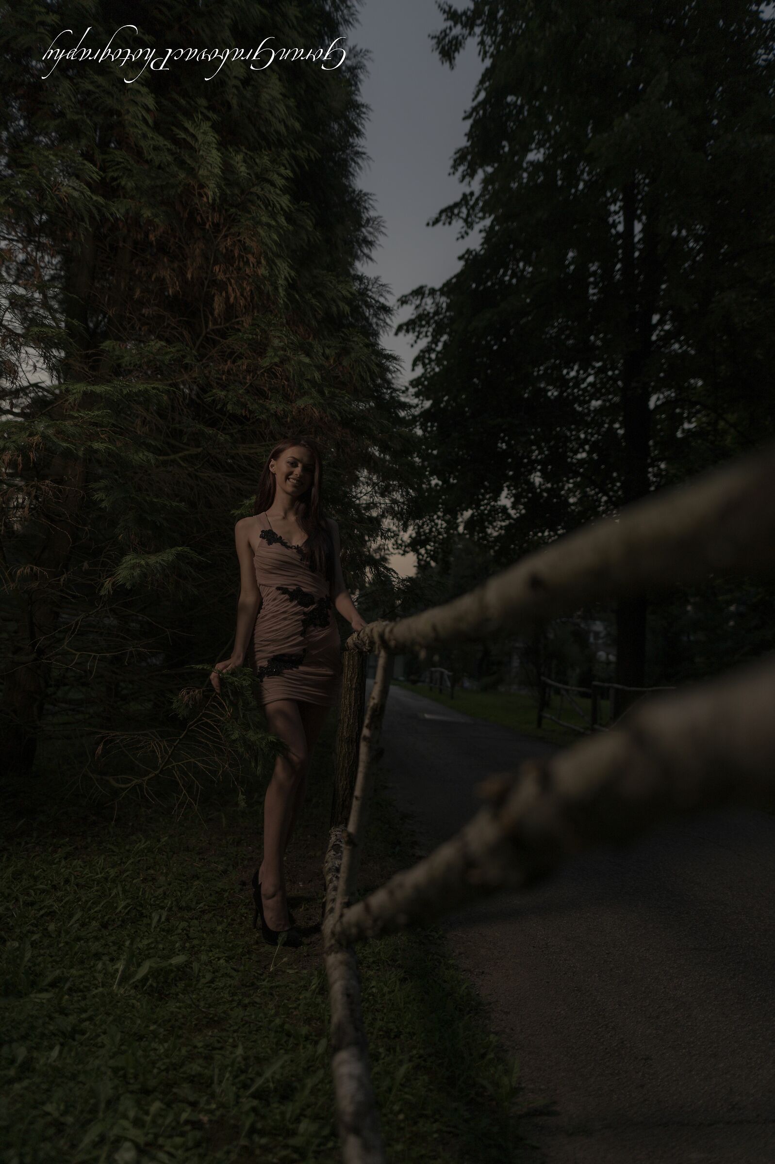 Untitled Photo