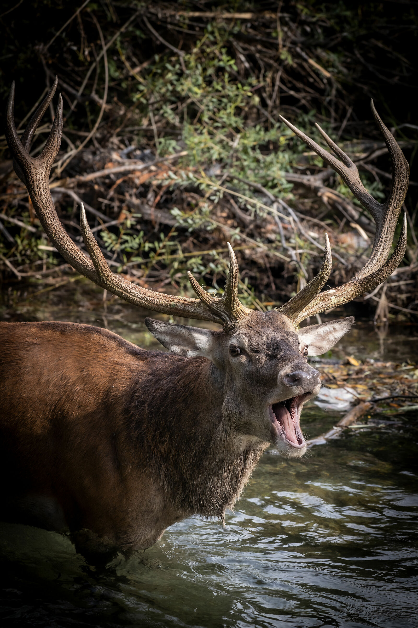 Cielo.....ho le corna!!!!!!