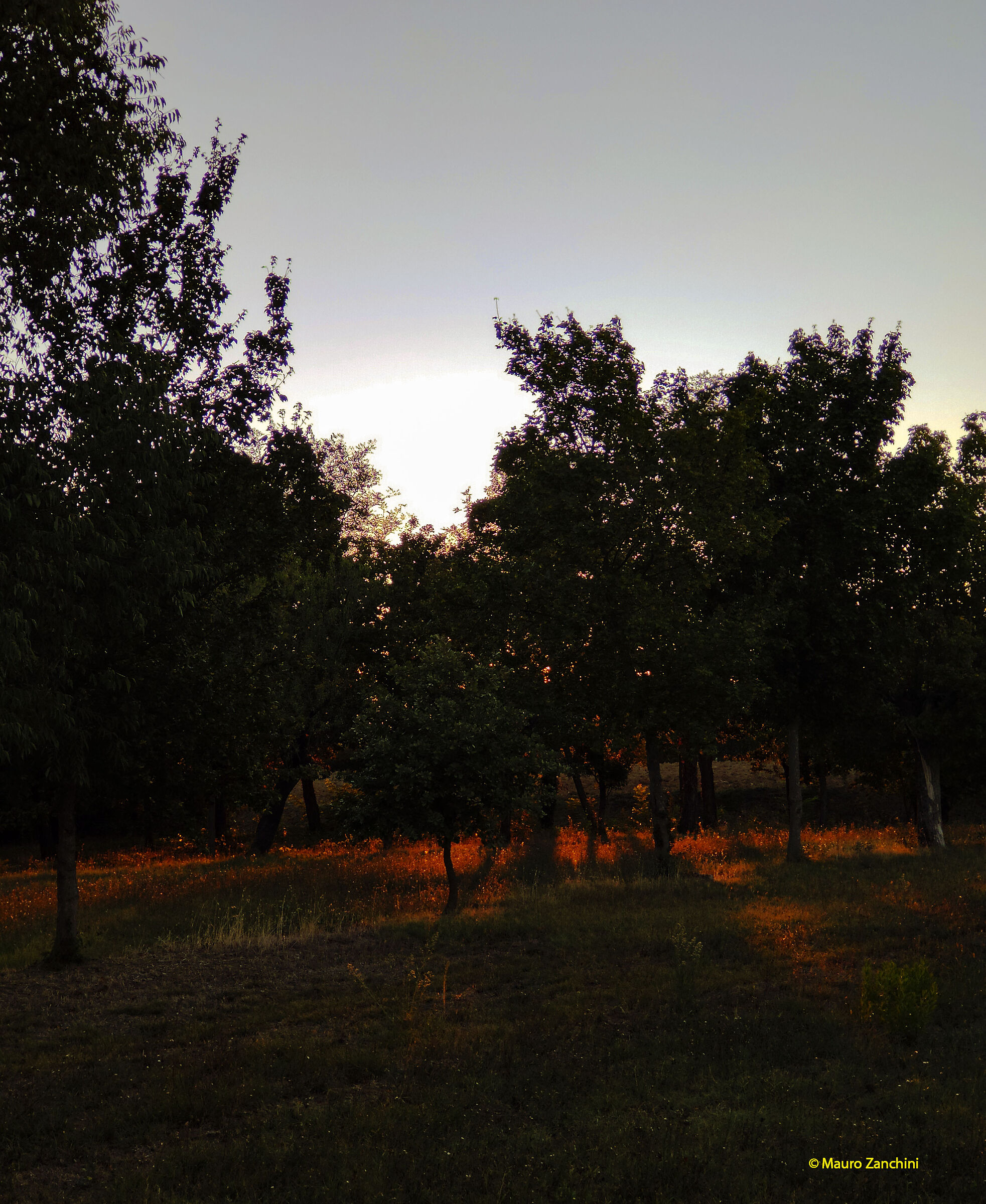 Untitled Photo