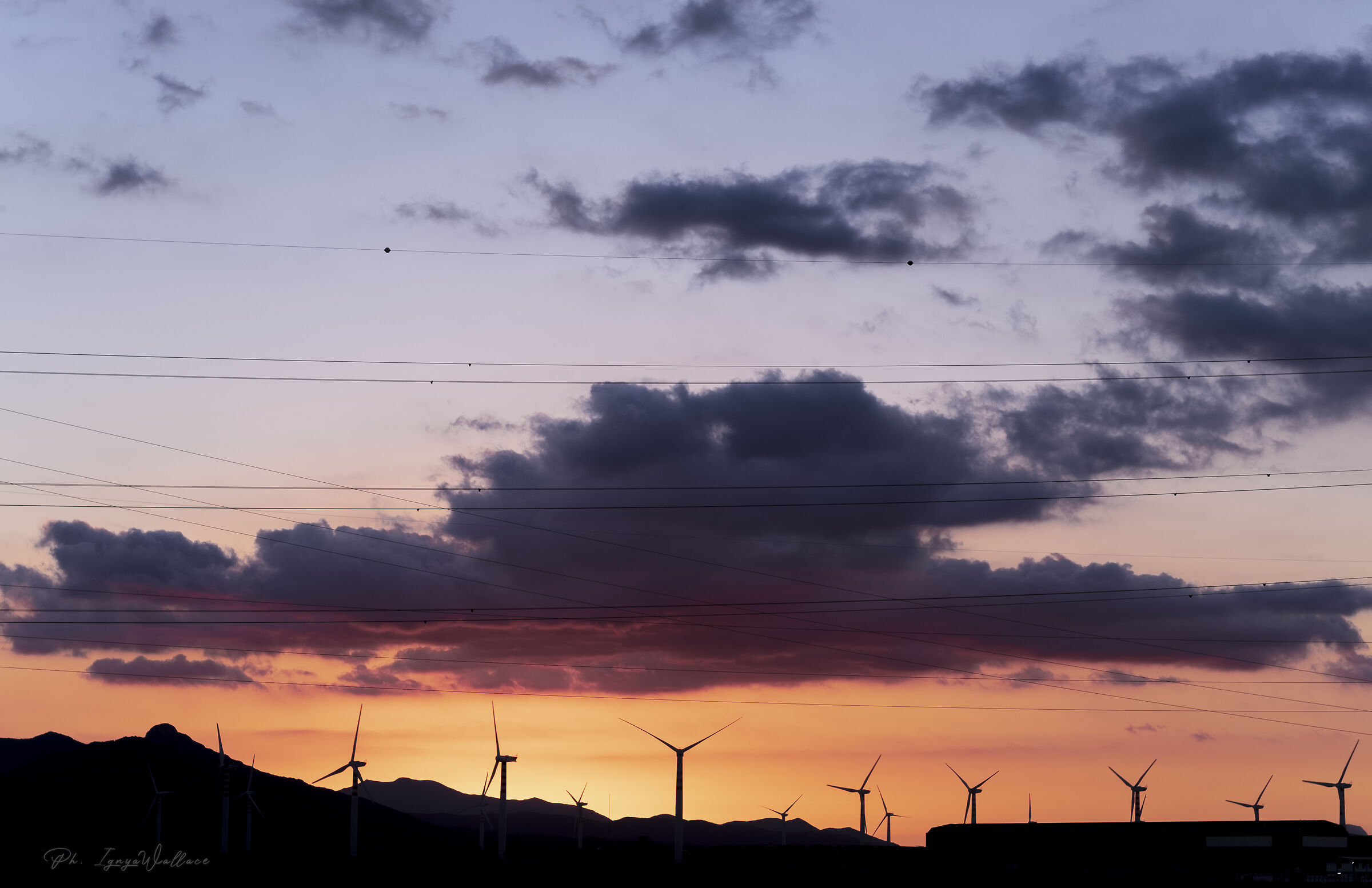 Wind blades Macchiareddu