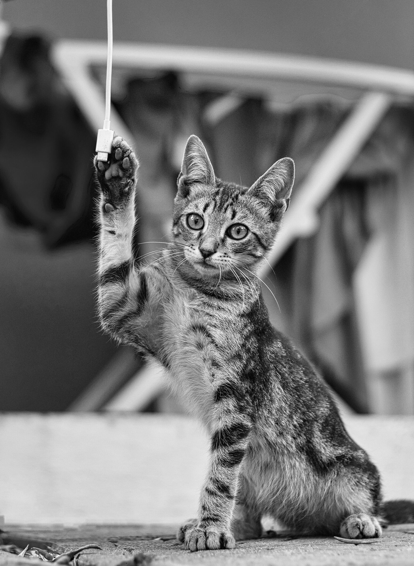 posso ricaricare il cellulare