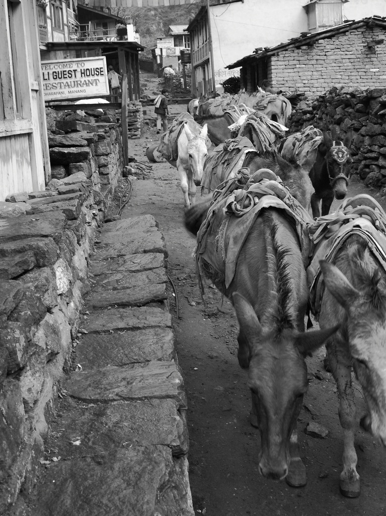 La strada principale di grande traffico