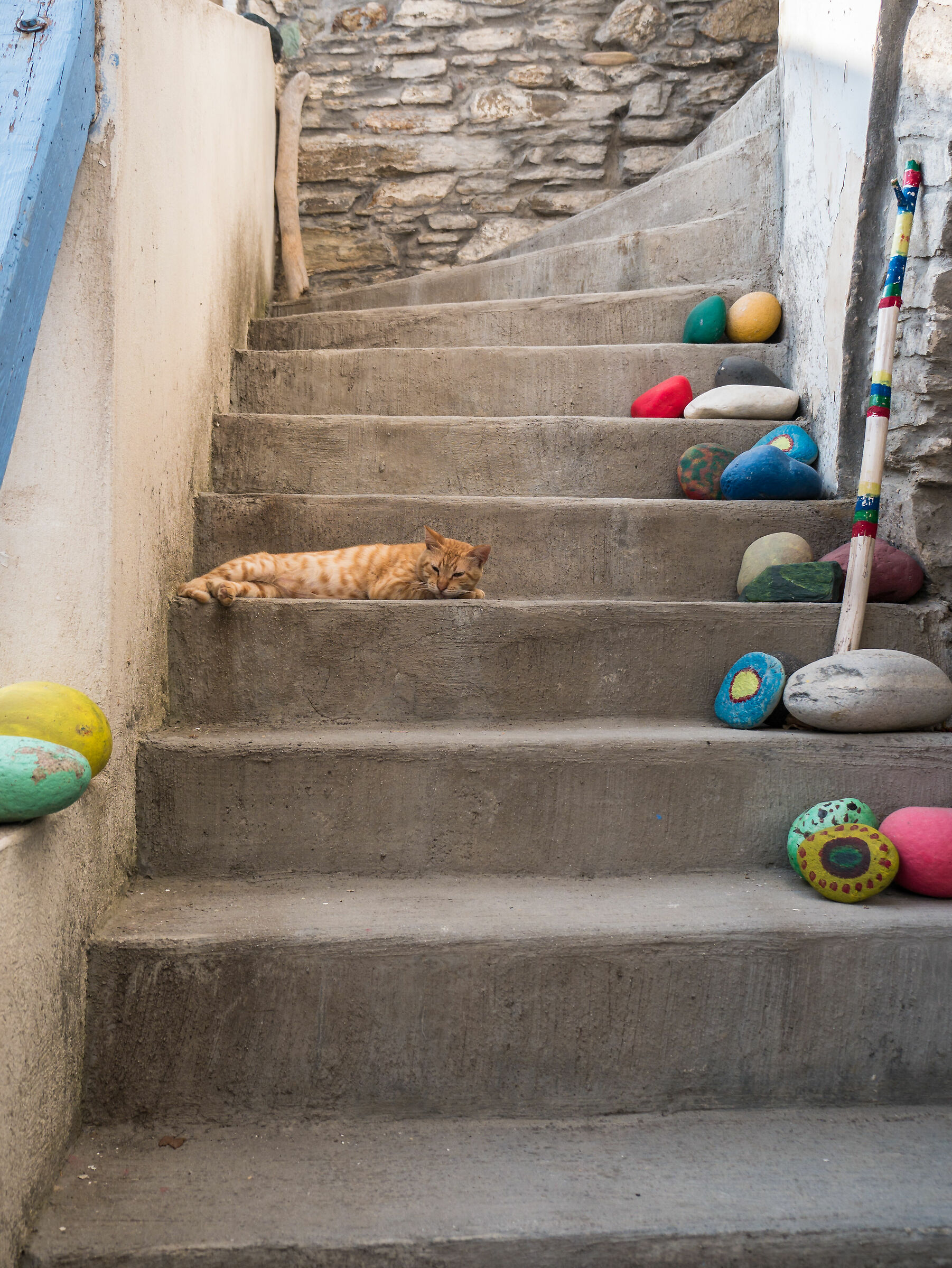 Red cat - Tinos Greece