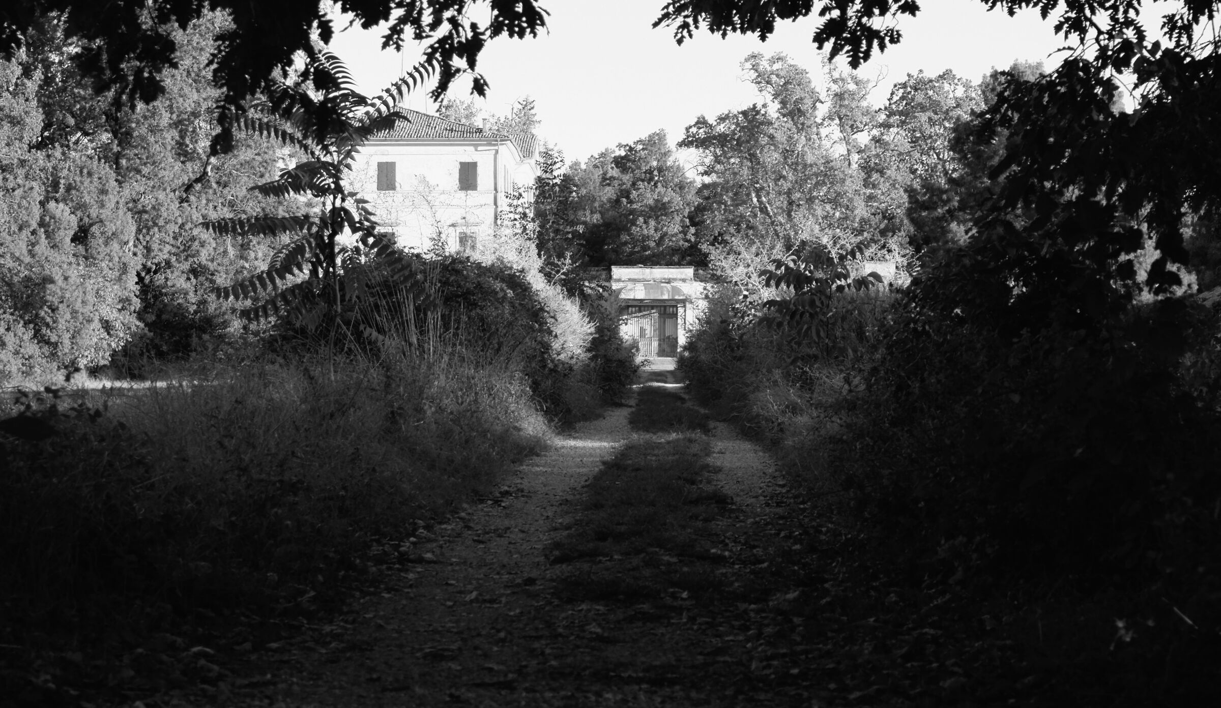 Ruins in the woods of Carrega