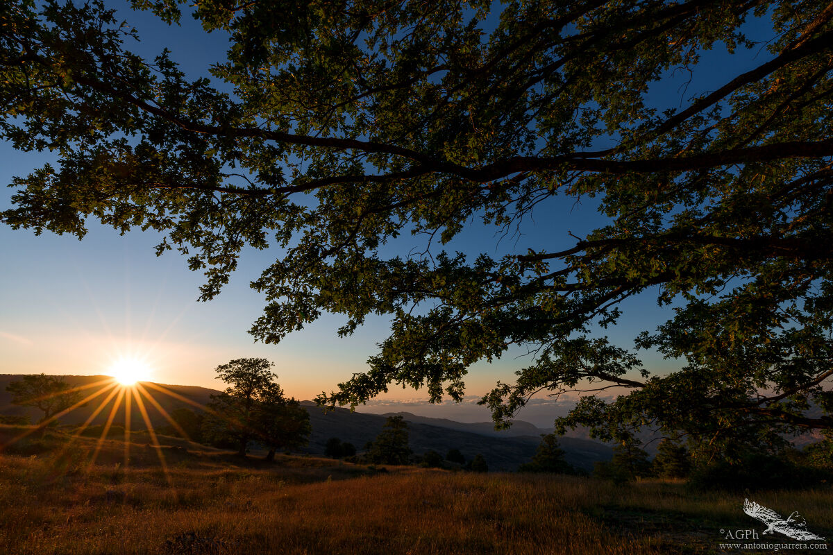A spasso per la Sicilia