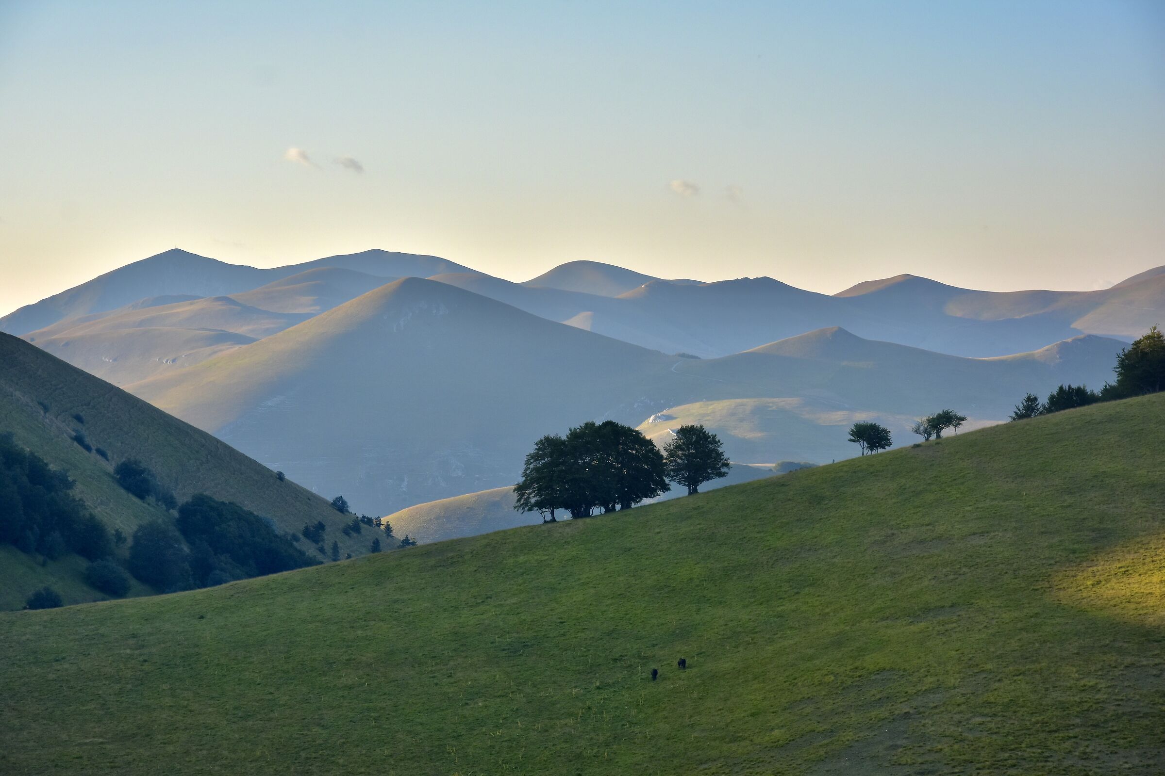 cartolina dal Vettore
