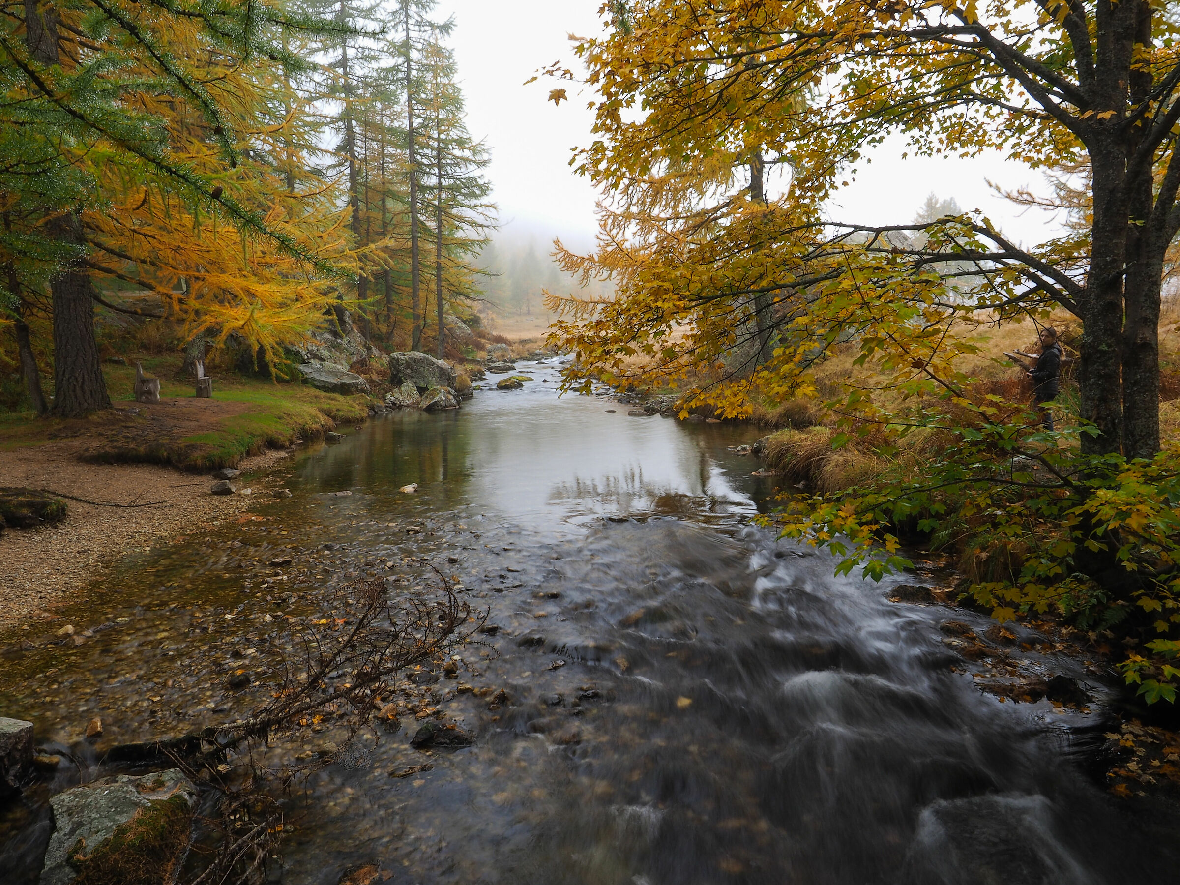 Autumn glimpse