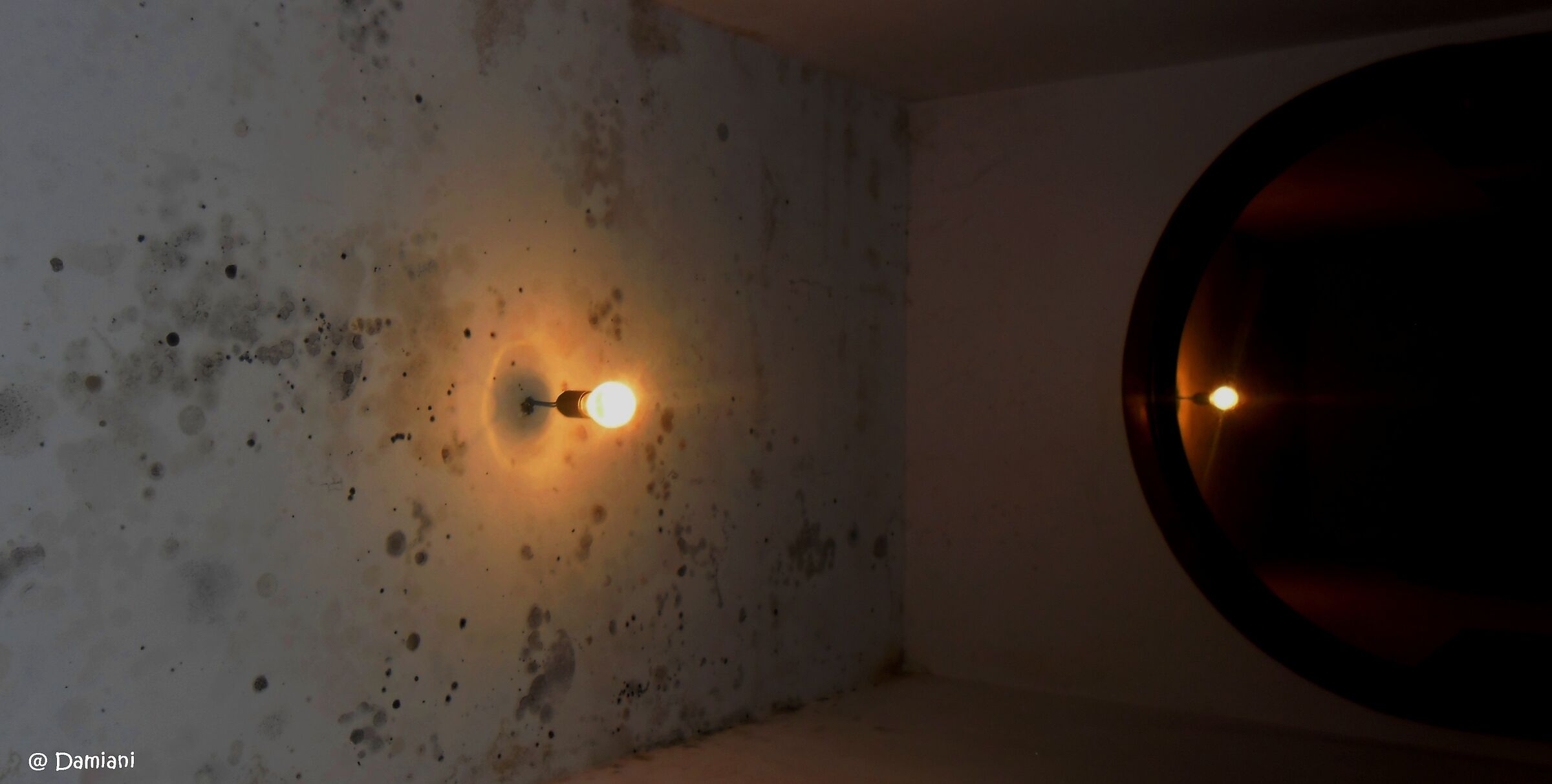 Reality and perspective