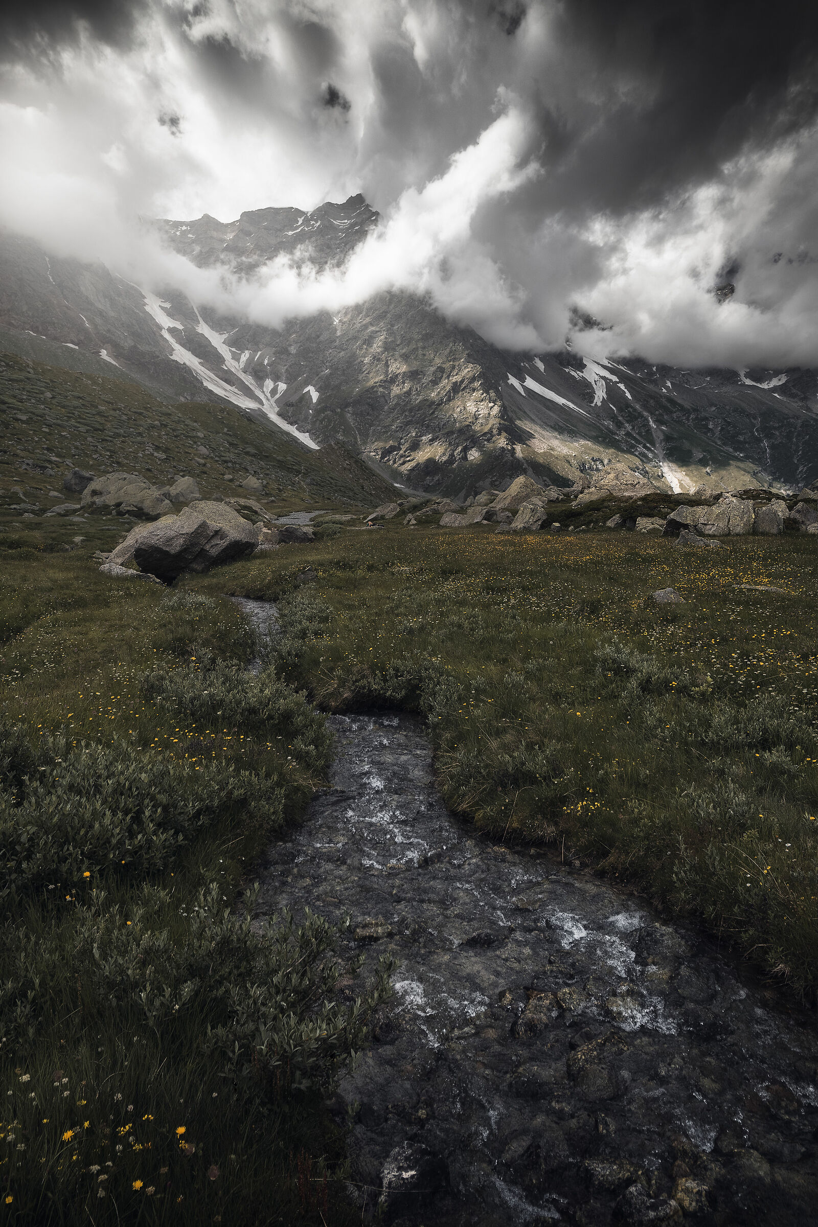 Ricordi di un'estate