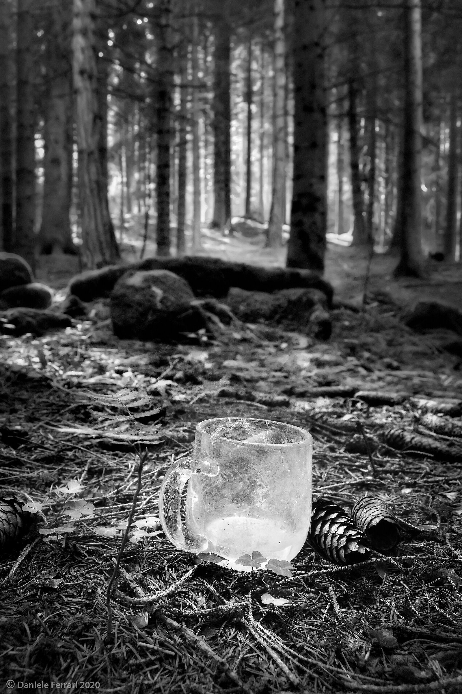 Prosit! But to the health of whom?