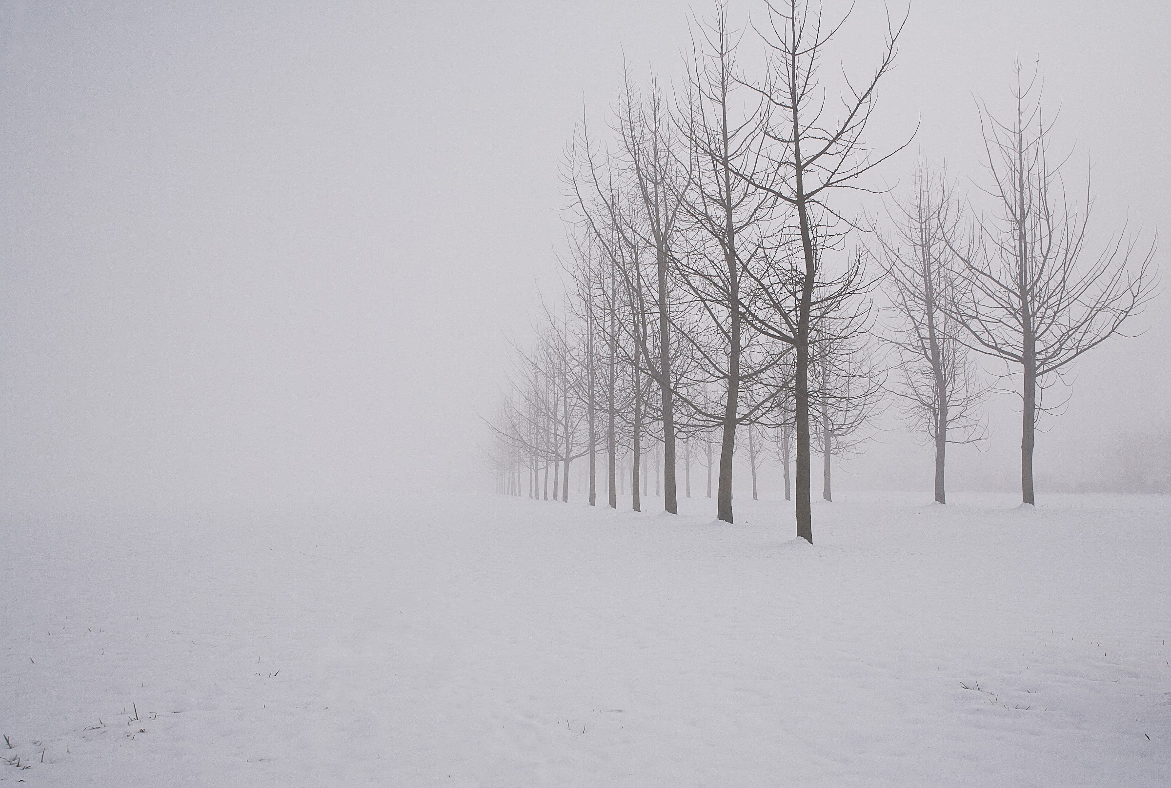Tra nebbia e realtà