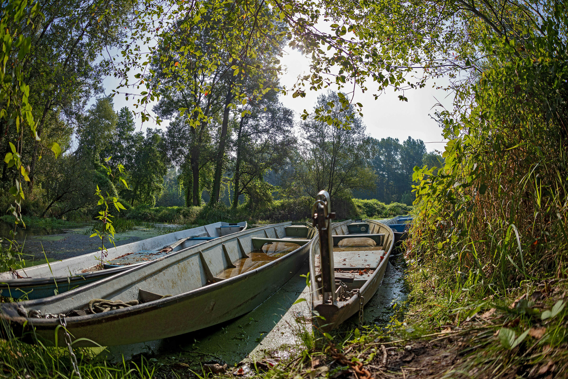 I Barcè (Le barche)