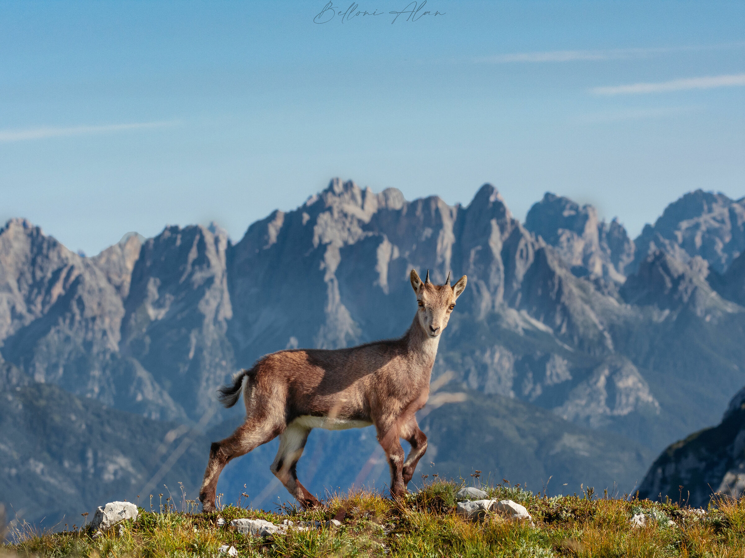 La mia prima modella