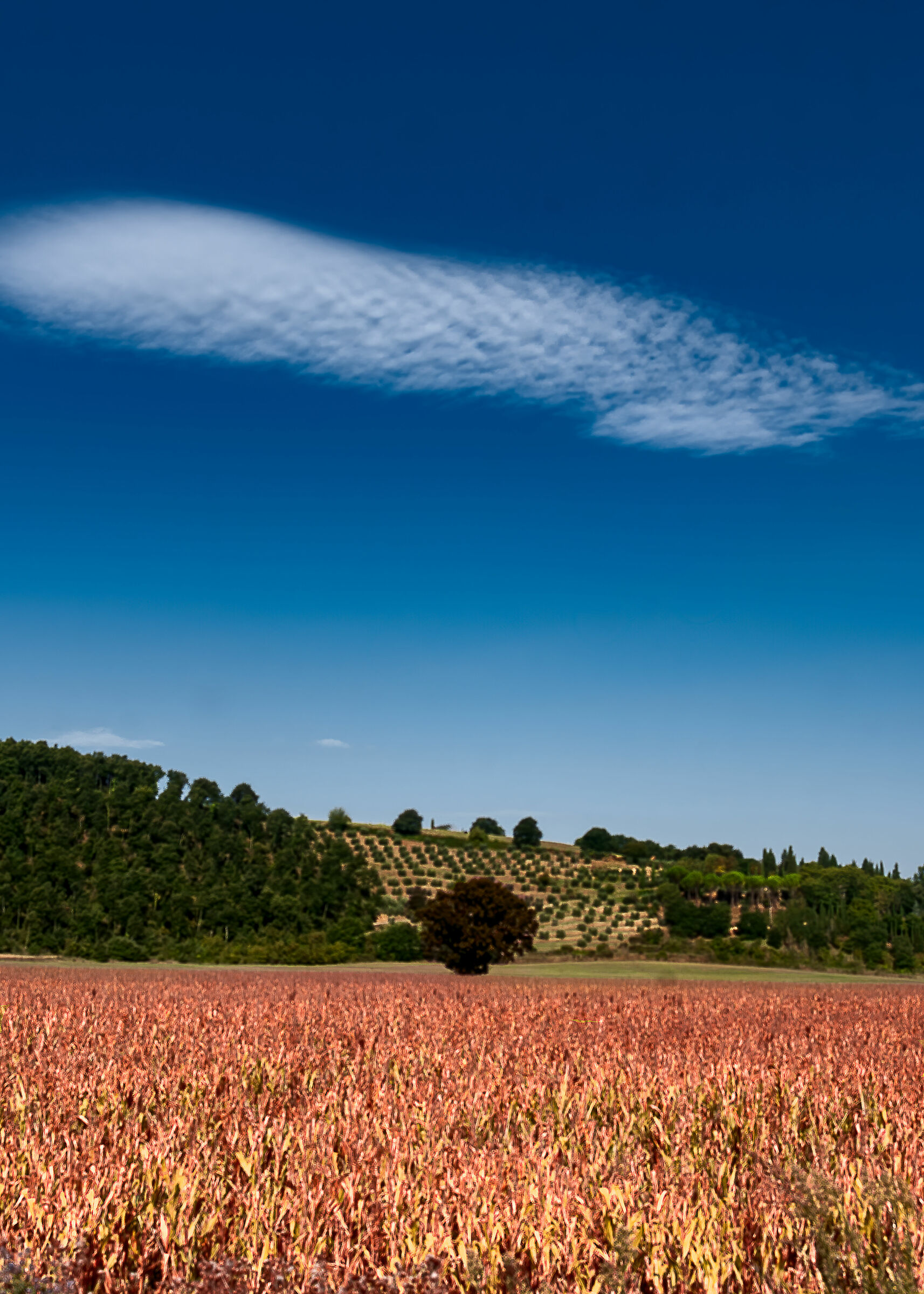 va bhe,ci ho provato...fontana