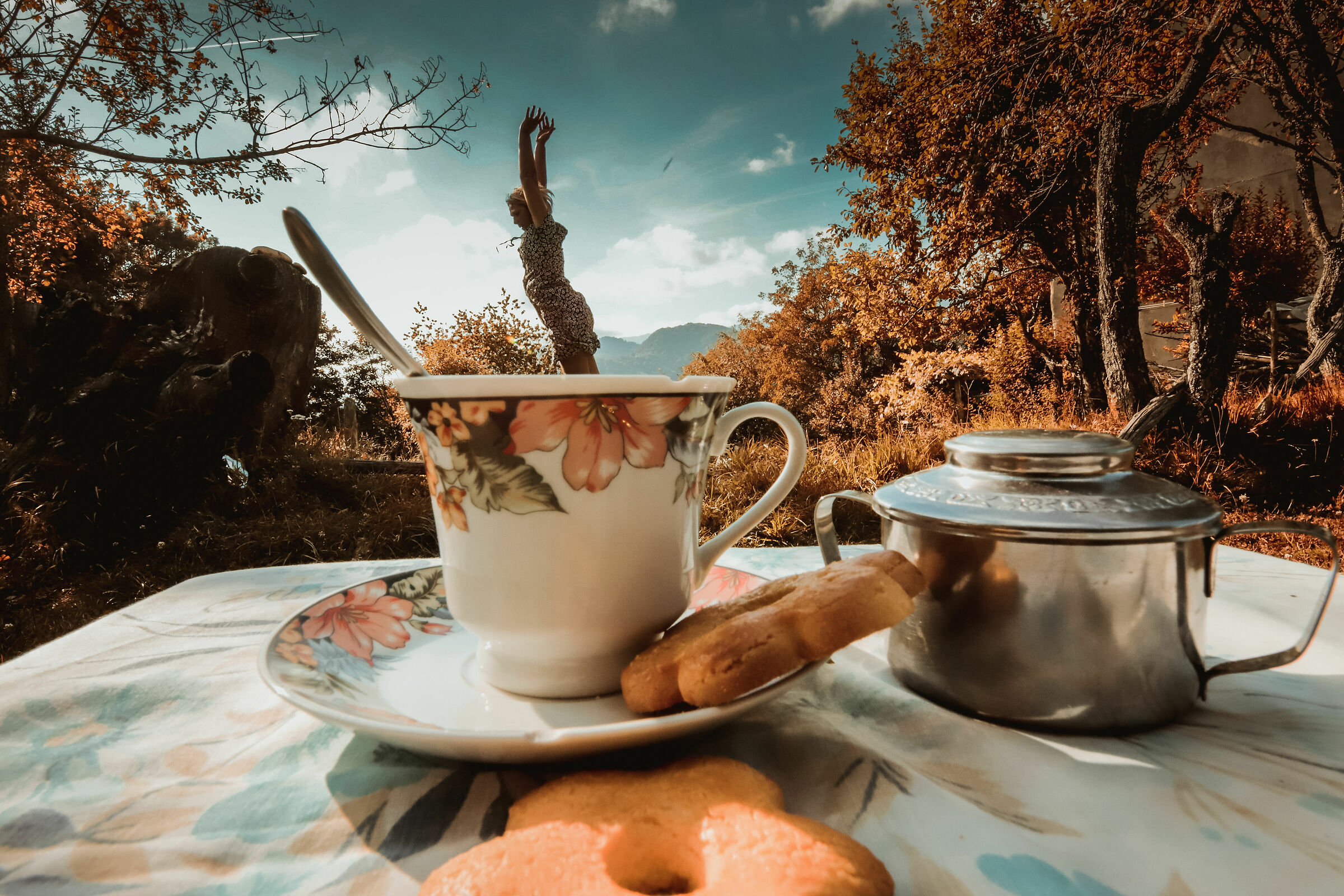 Alice nel paese delle meraviglie