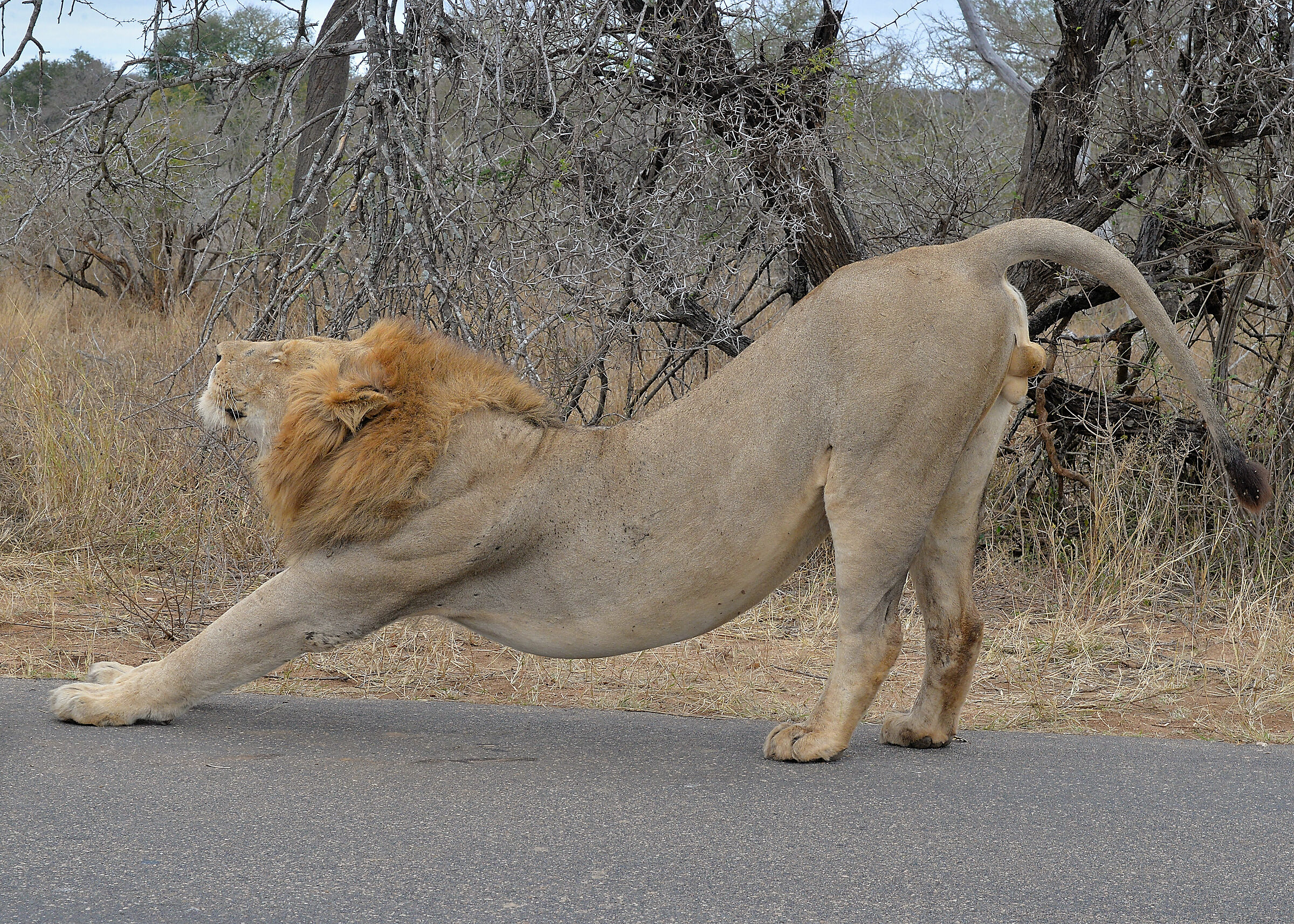 a nice stretch and away