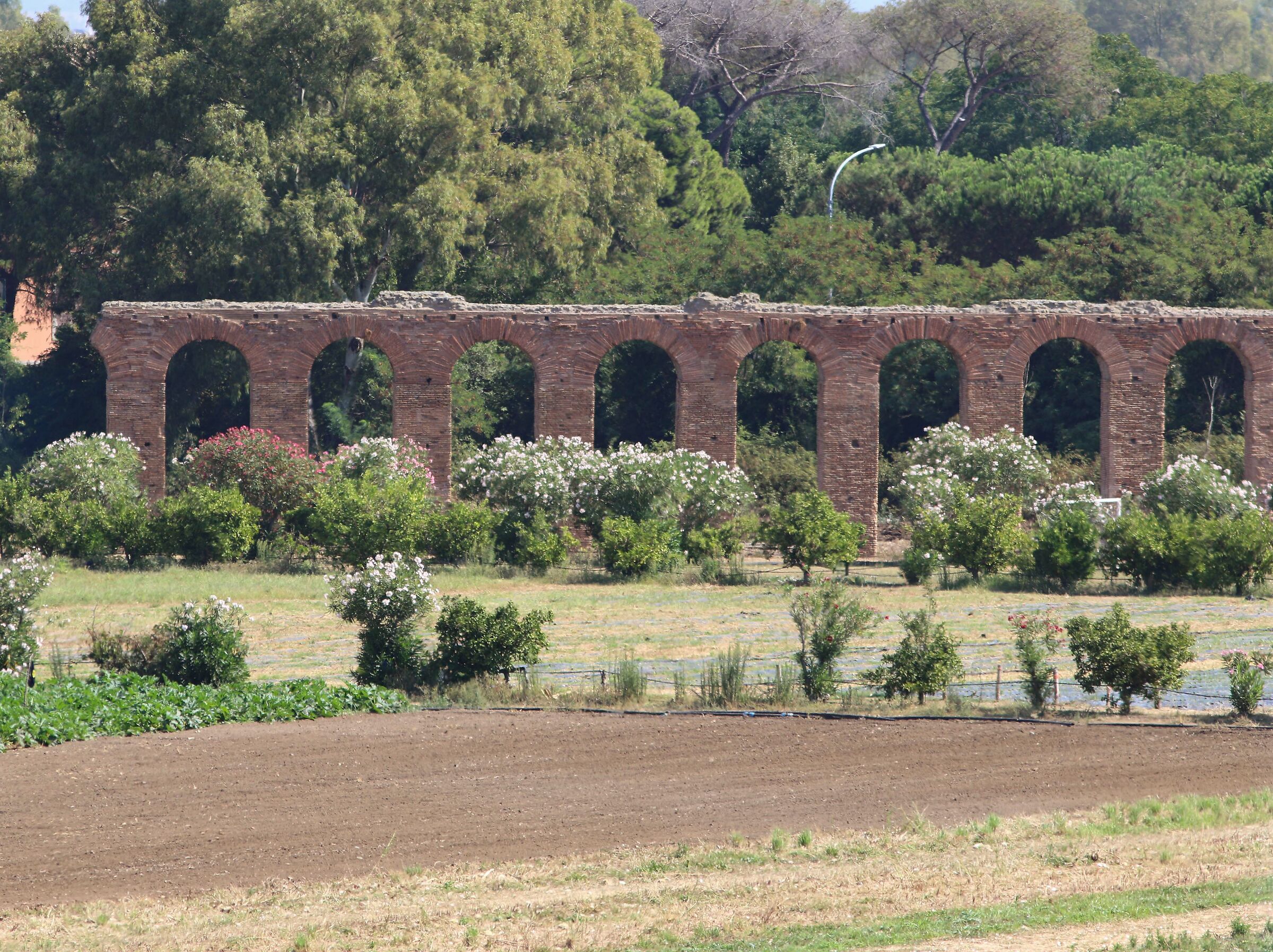 Acquedotto dei Quintili foto 1