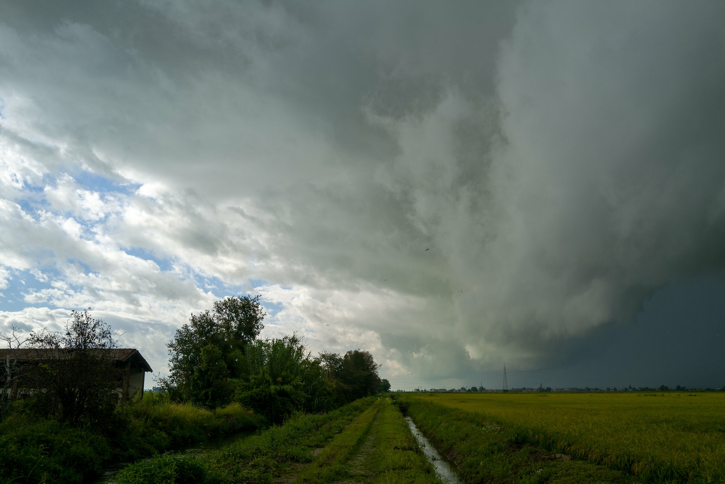 Morning thunderstorm