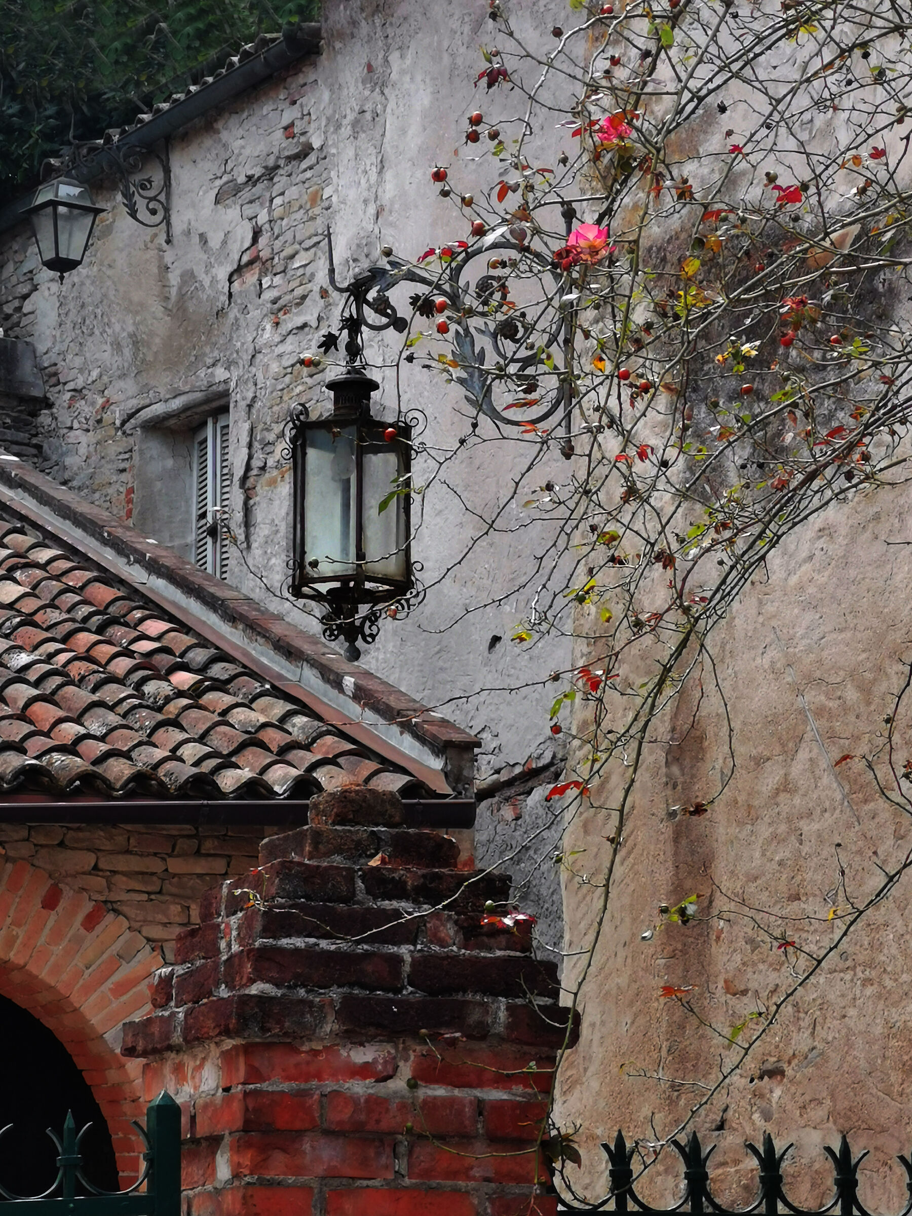 In the name of the roses...