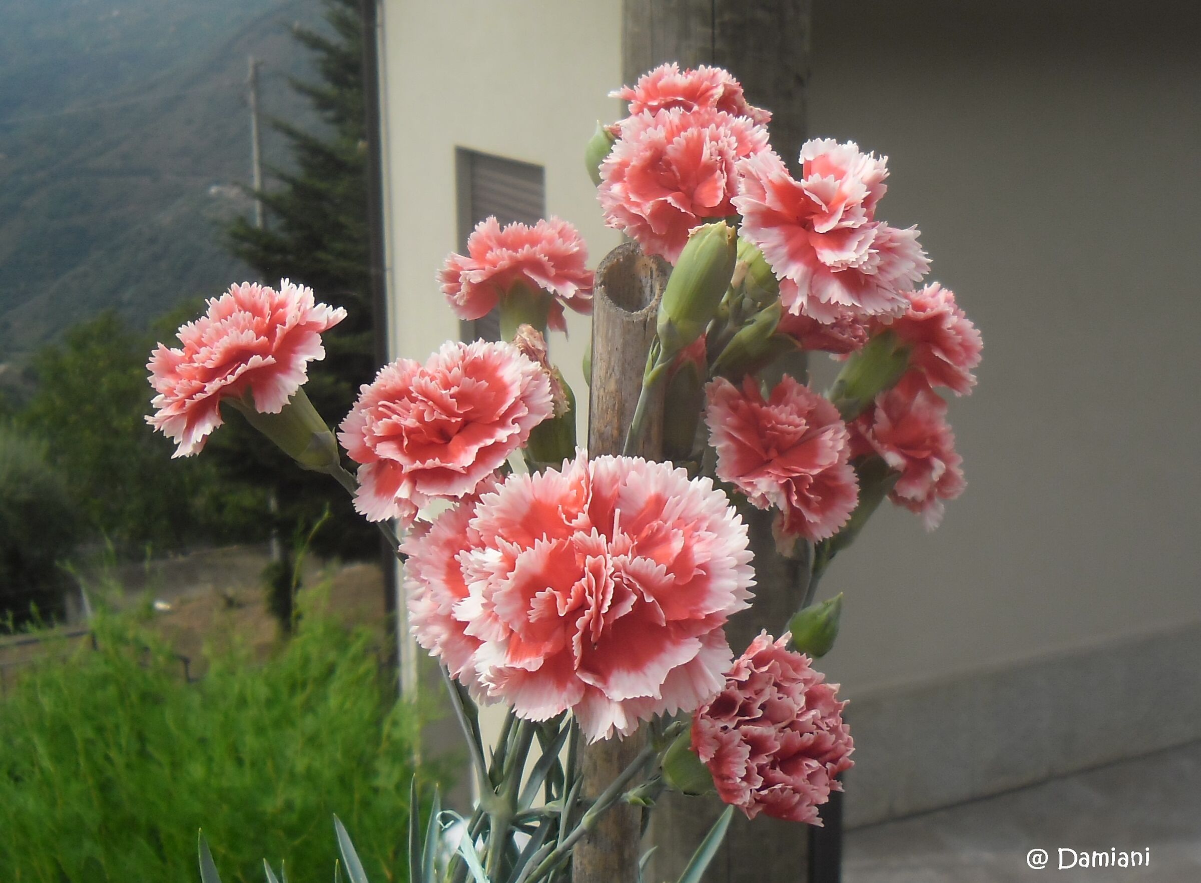 At a touch of the hand