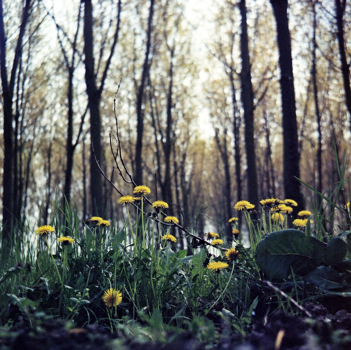 tutti giù per terra ... ;/)