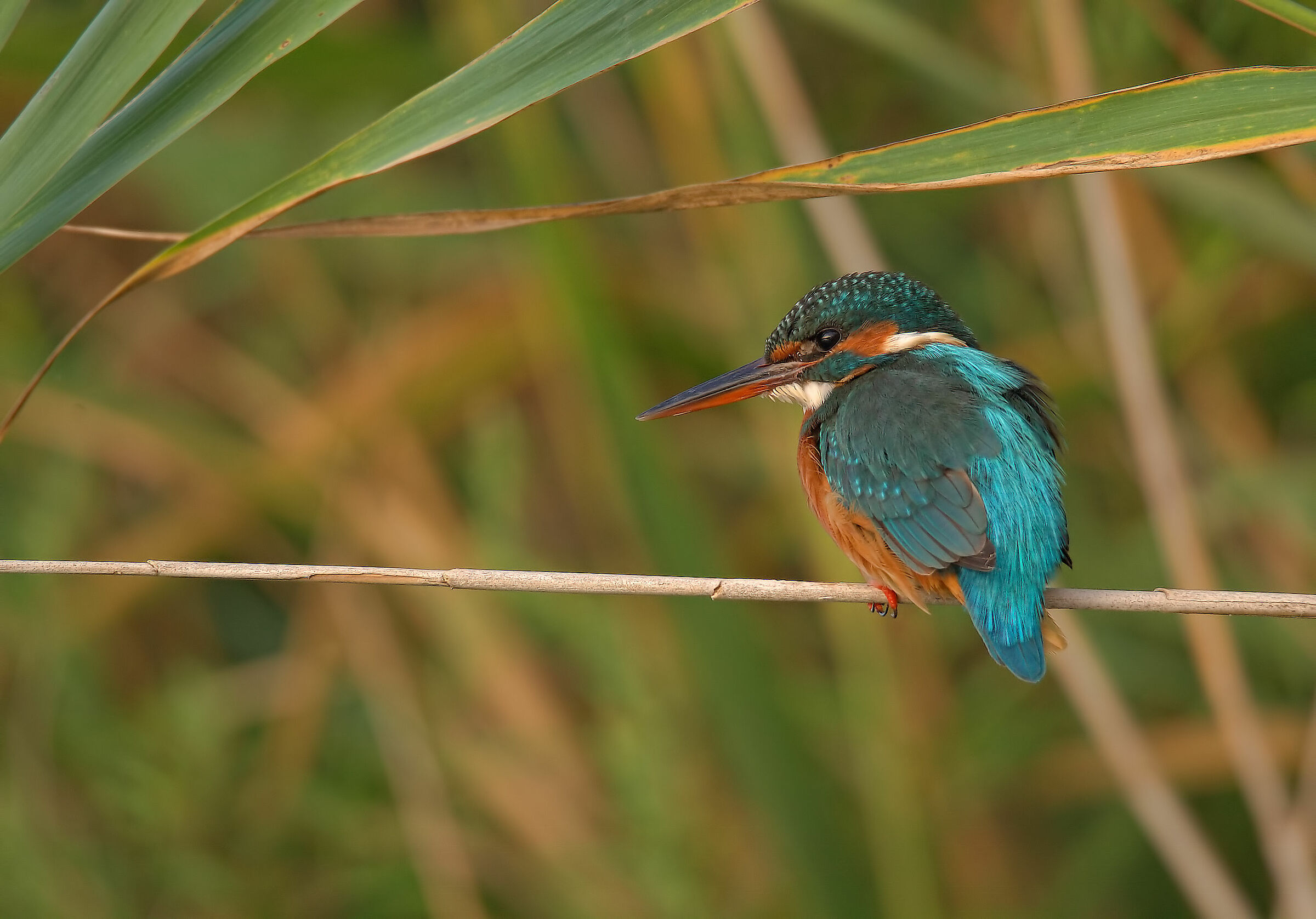 Female fisherman