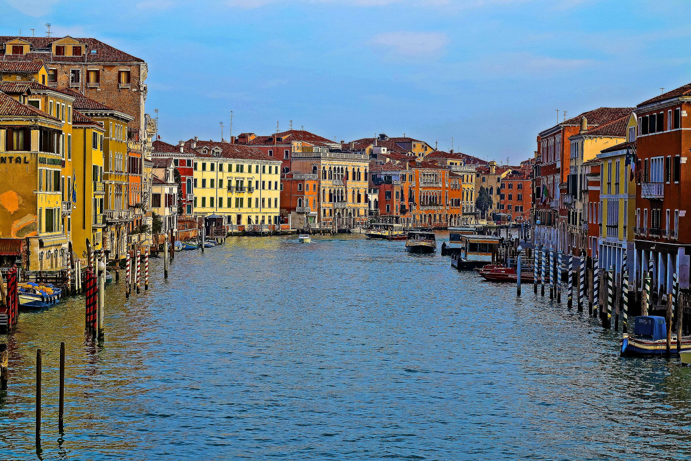 Simply VENICE