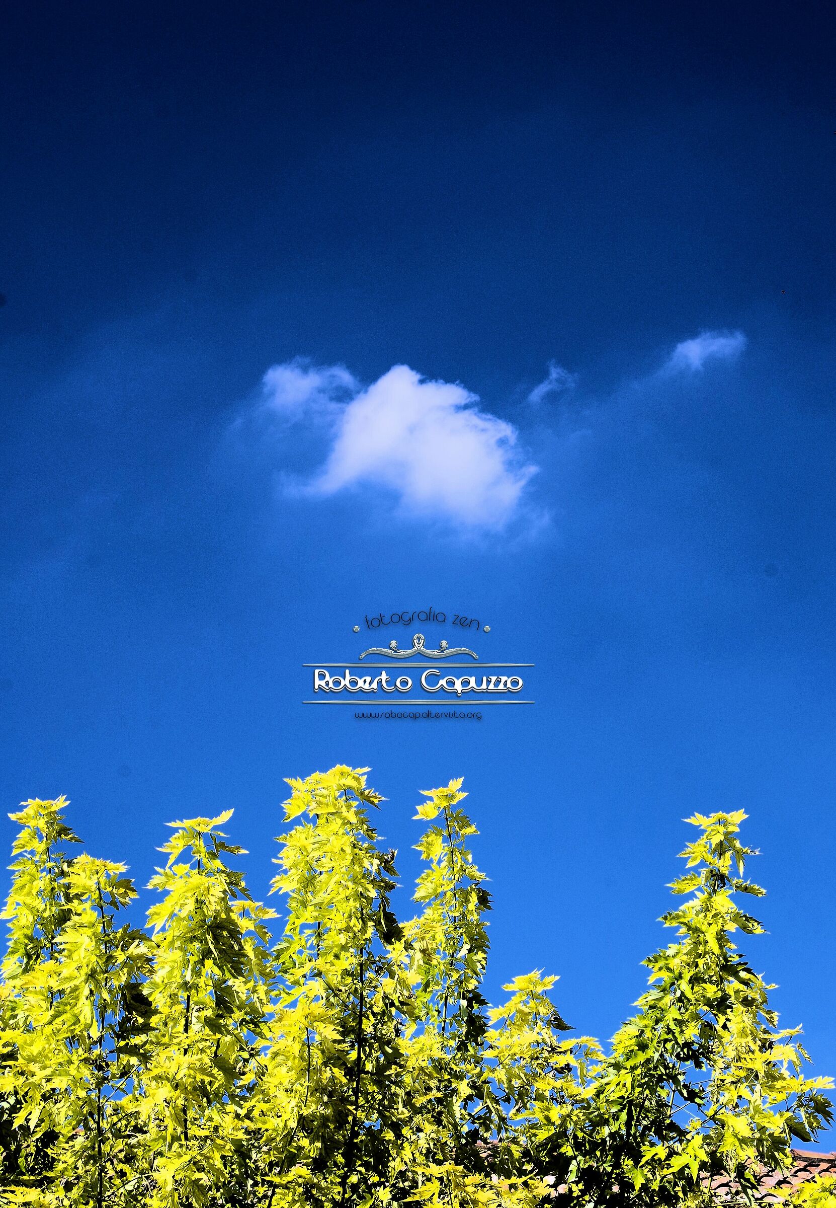 Cielo sopra Aguscello 002