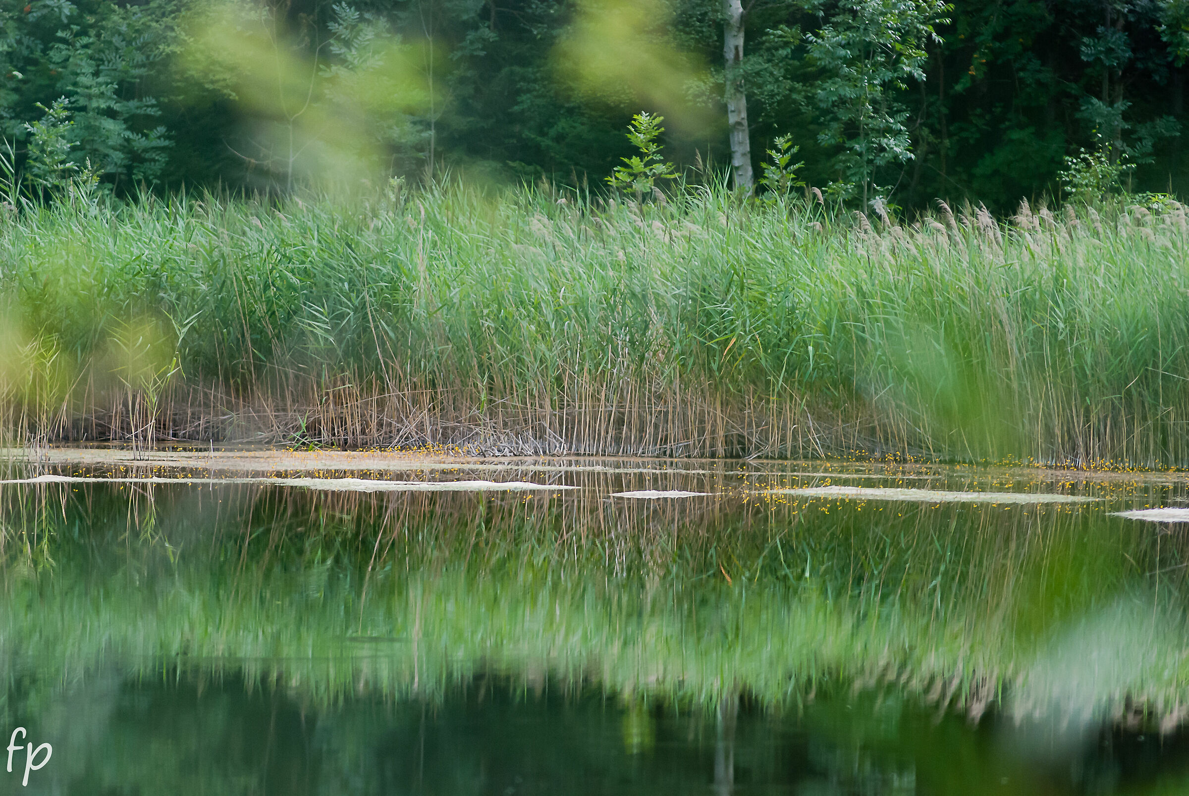 Valgrisanche Lago Lollair